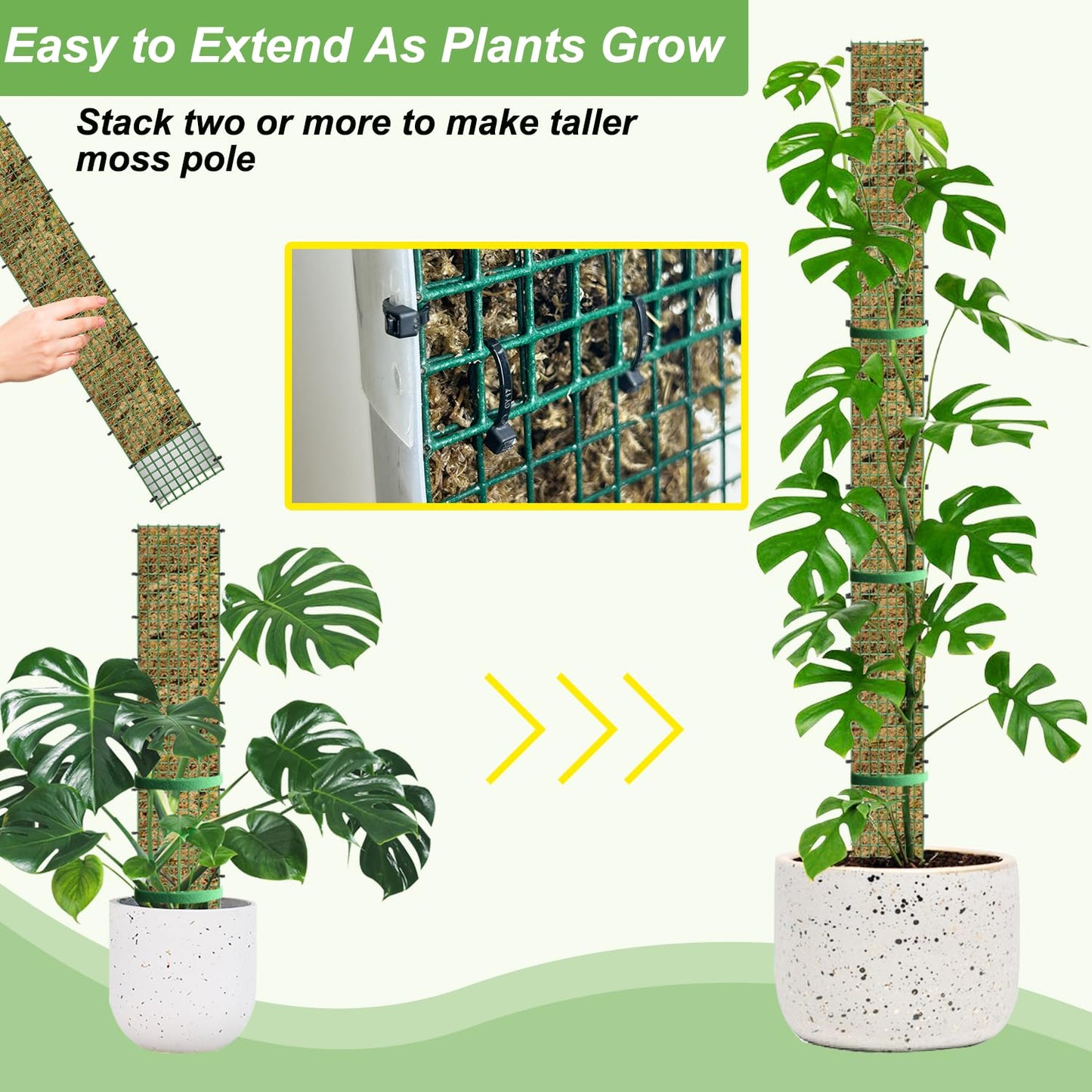 HOLANHING 60"/40"/24" Metal Moss Pole, D Shape Sphagnum Moss Pole, Moss Poles for Climbing Plants, Monstera, Indoor Climbing Plants (2 Each of 60" 40" 24")
