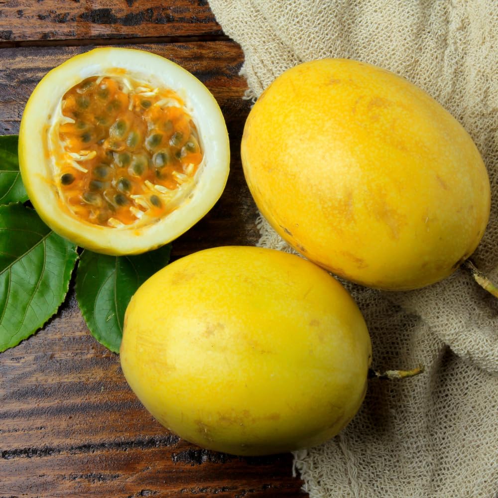 Passion Fruit Plant Live 4-7 Inch, Passionfruit Vine for Outdoor Garden, Tropical Climbing Vine for Trellis, Fence or Backyard Growing (Yellow Passionfruit)