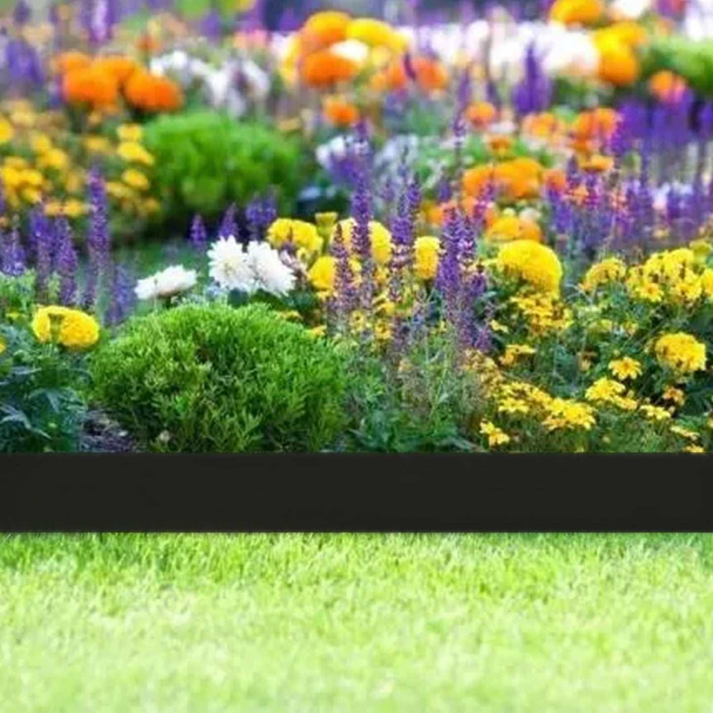 33FT Landscape Edging, 4 Inch Garden Edging Border with 50 Spikes, Flexible Lawn Edging for Landscape, Garden, Flower Beds, Lawn, Yard, Pathway, Paver Edge-Black
