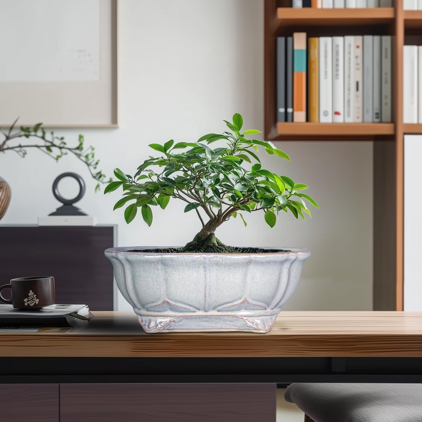 Teagas 11 Inch Bonsai Pots - Ceramic Bonsai Planters for Indoor Outdoor Plants, Succulent Pots with Drainage Hole, Shallow Planter, Decorative Flower Pot, Home Decor, House Warming Gifts, Oval Grey