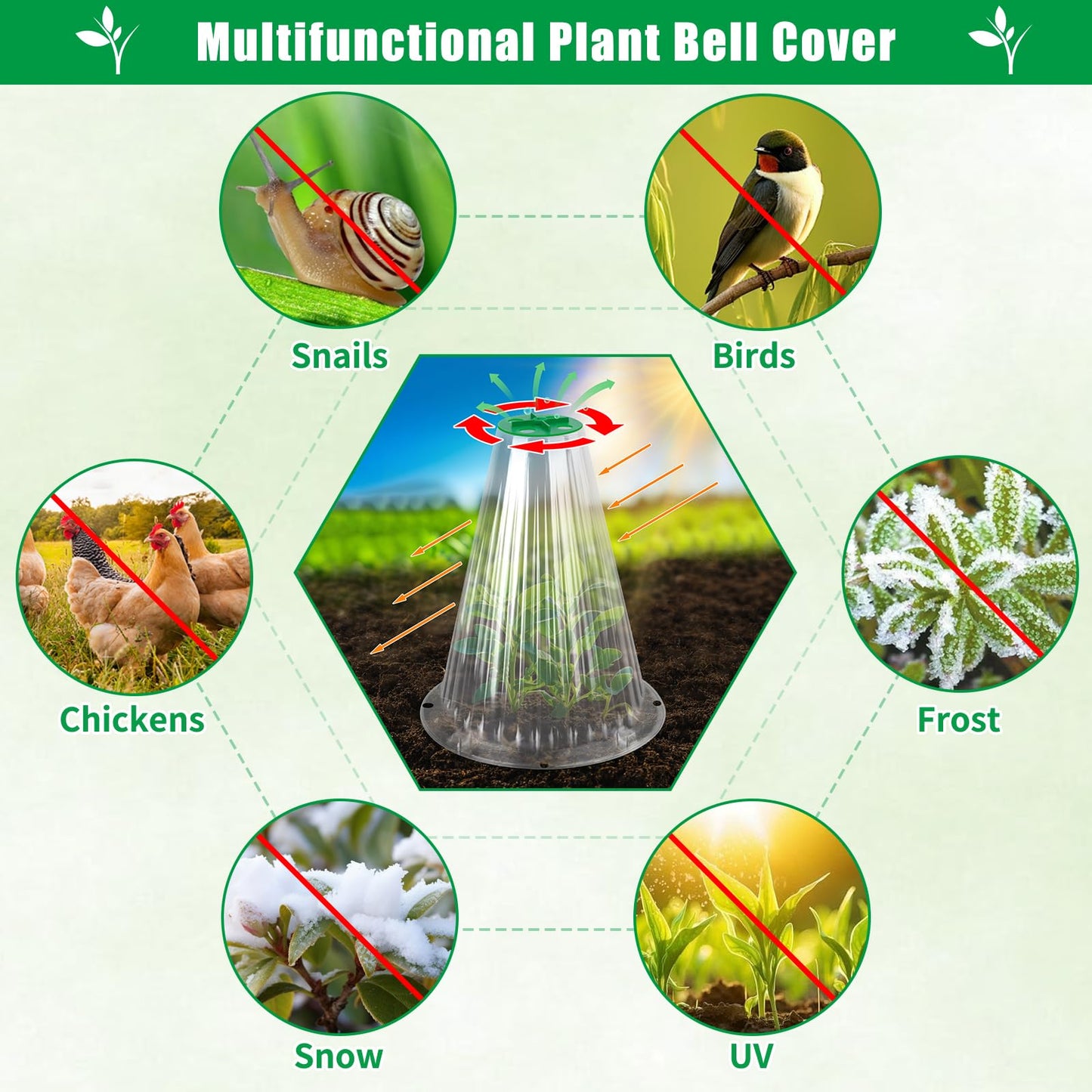 UQM 30 Pack Garden Cloches for Plants, Reusable Bell Plant Protector with Rotary Vent Cover, Garden Protection from Animals Snails Birds Chickens Insect, 9.44" H X 8.07" D (Clear)