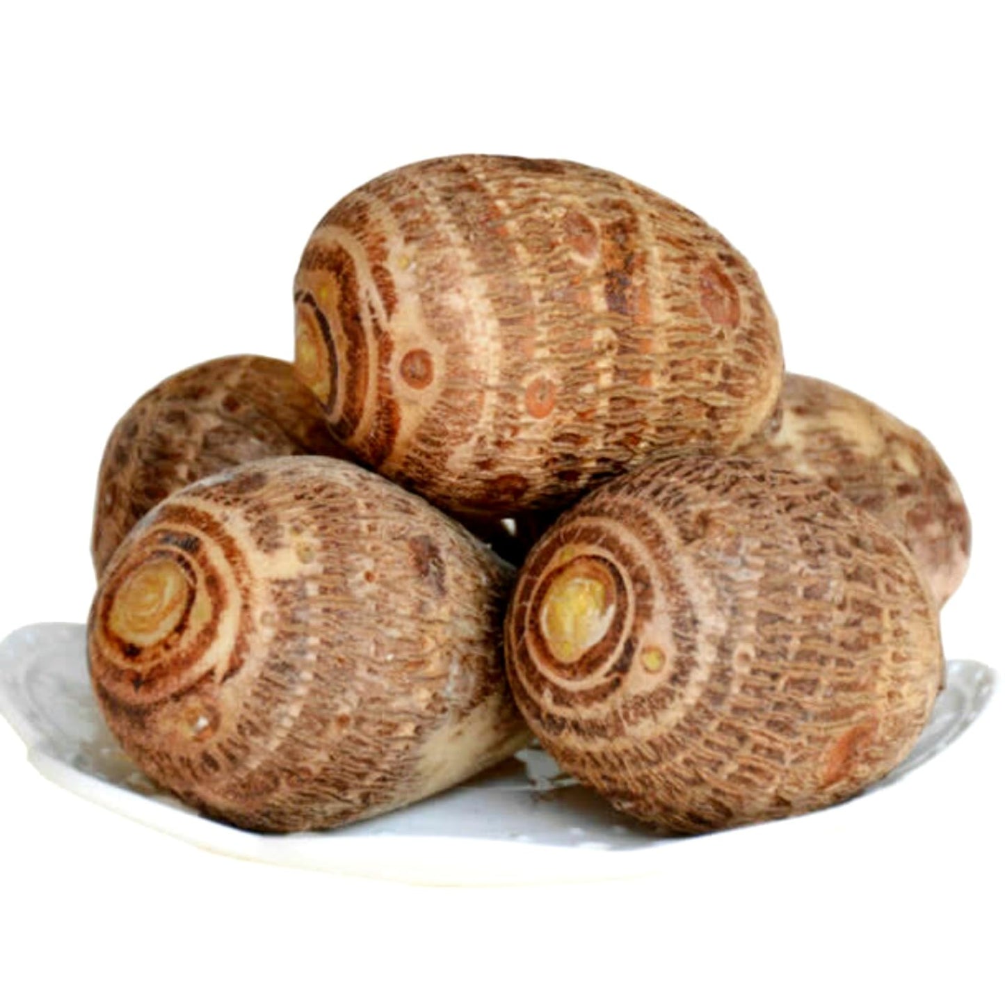 WFTHLO Elephant Ears Bulbs/Giant Elephant Ear Bulbs-Balcony/Garden Ornament/Low Maintenance Tropical Houseplant-D-6 bulbs