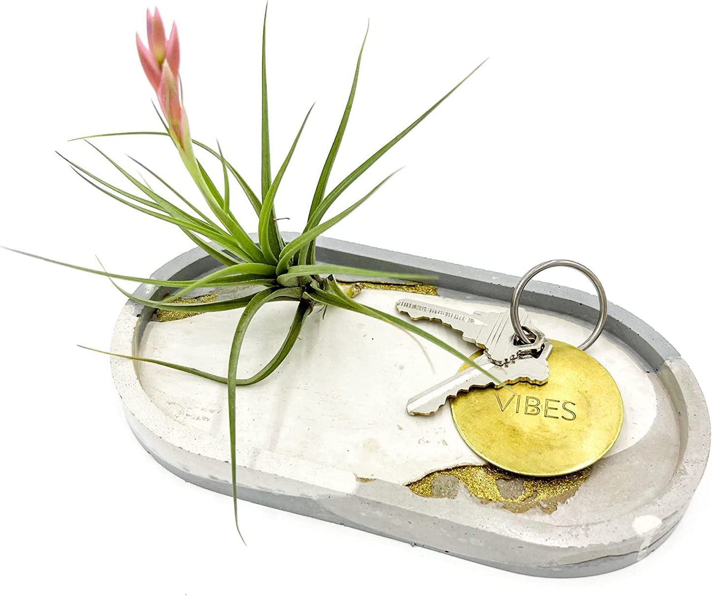 Air Plants - Flowering Tillandsia Aeranthos, Large 3-5" - 3ct - Live Arrival Guaranteed - House Plants for Home Decor & Gift