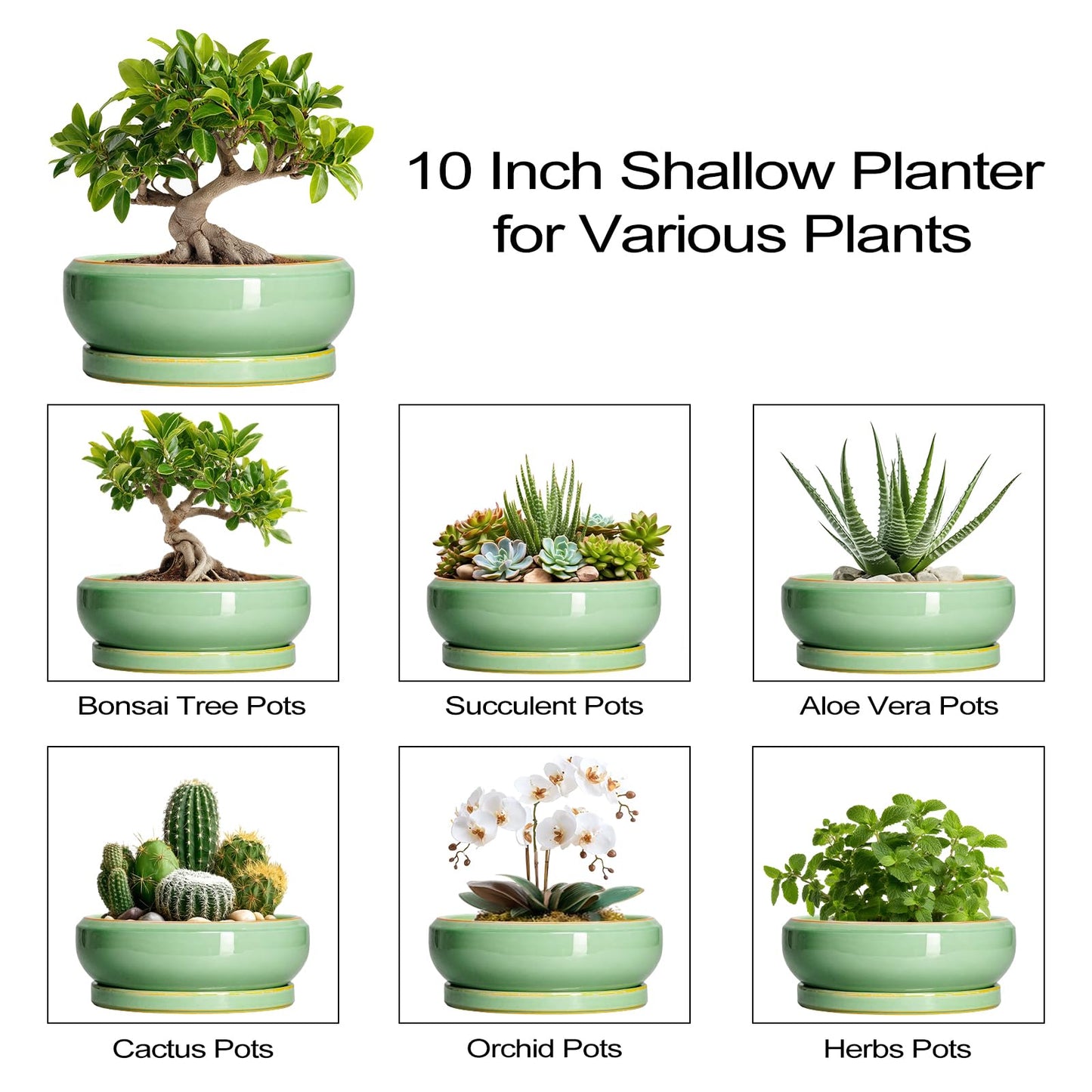 EPFamily 10 Inch Bonsai Tree Pots - Ceramic Succulent Pots with Drainage Hole and Tray, Shallow Planter for Indoor Outdoor Plants, Round Planters, House Decor, Gifts for Plant Lovers, Light Green