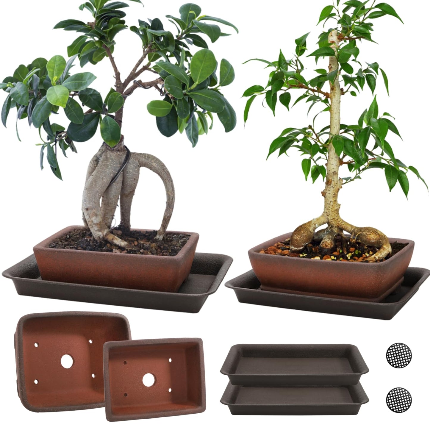 ELFULLY 2 Pack Ceramic Bonsai Pots with Drainage Tray, 6" and 7" Unglazed Rectangle Bonsai Tree Planters, Bonsai Training Pots, Succulent Cactus Planter with Drainage Hole for Outdoor Indoor, Brown