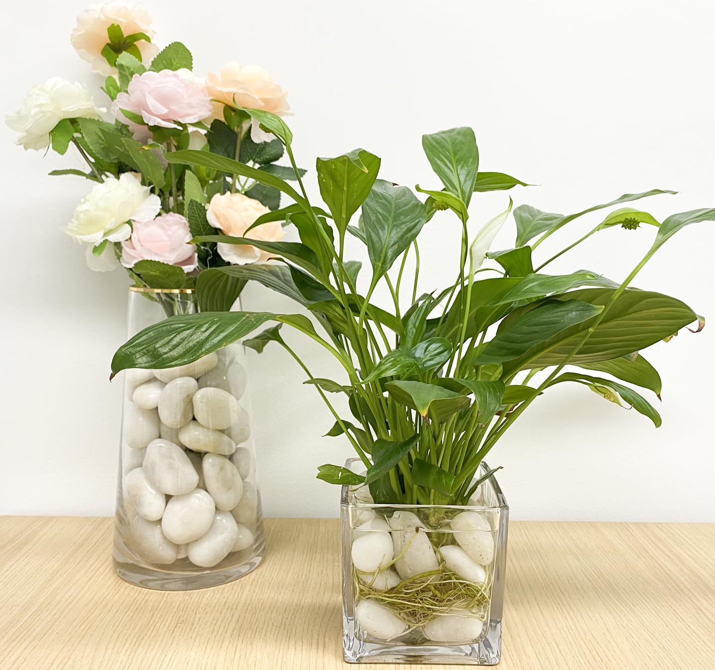 FANTIAN 5 lbs Large White River Rocks, 2-3 inch Pebbles for Indoor Plants, Polished Decorative Stones for Planters Vase Aquarium and Outdoor Garden Landscaping Rocks