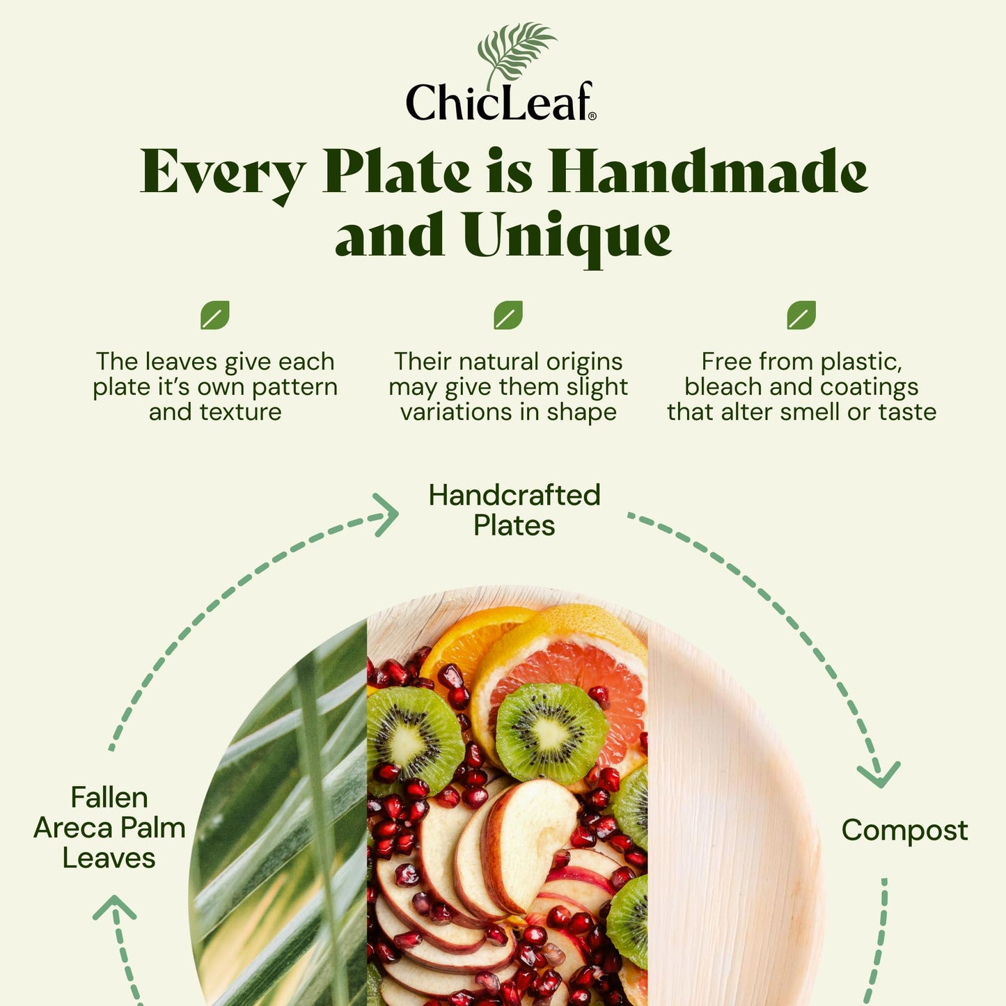 Chic Leaf Palm Leaf Compostable Plates - 6" Square, Pack of 50 - Disposable Dinnerware for your Table, Rustic Bamboo Appetizer Plates - Summer Dinner, Charcuterie Boards & Biodegradable Serviceware