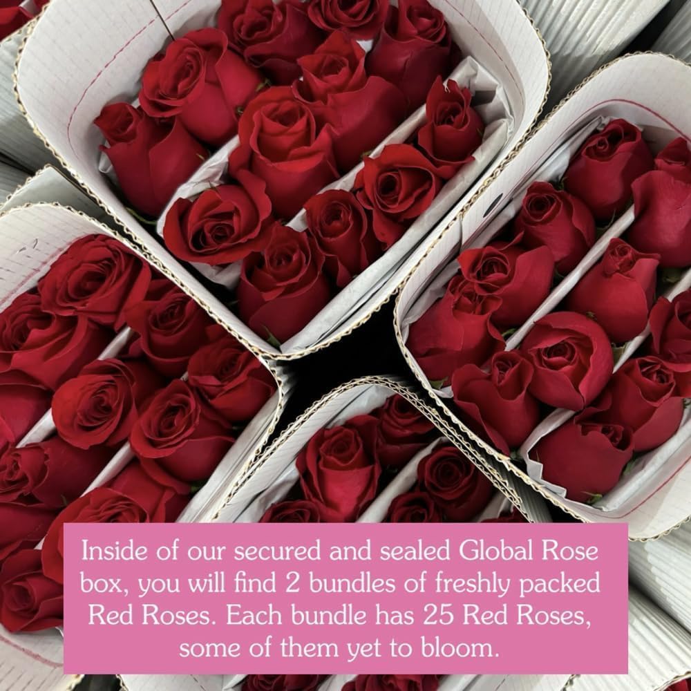 GlobalRose Real Fresh Cut Red Roses - 50 Fresh Flowers - Real Flowers Bouquet for Mother's Day, Gift or Wedding