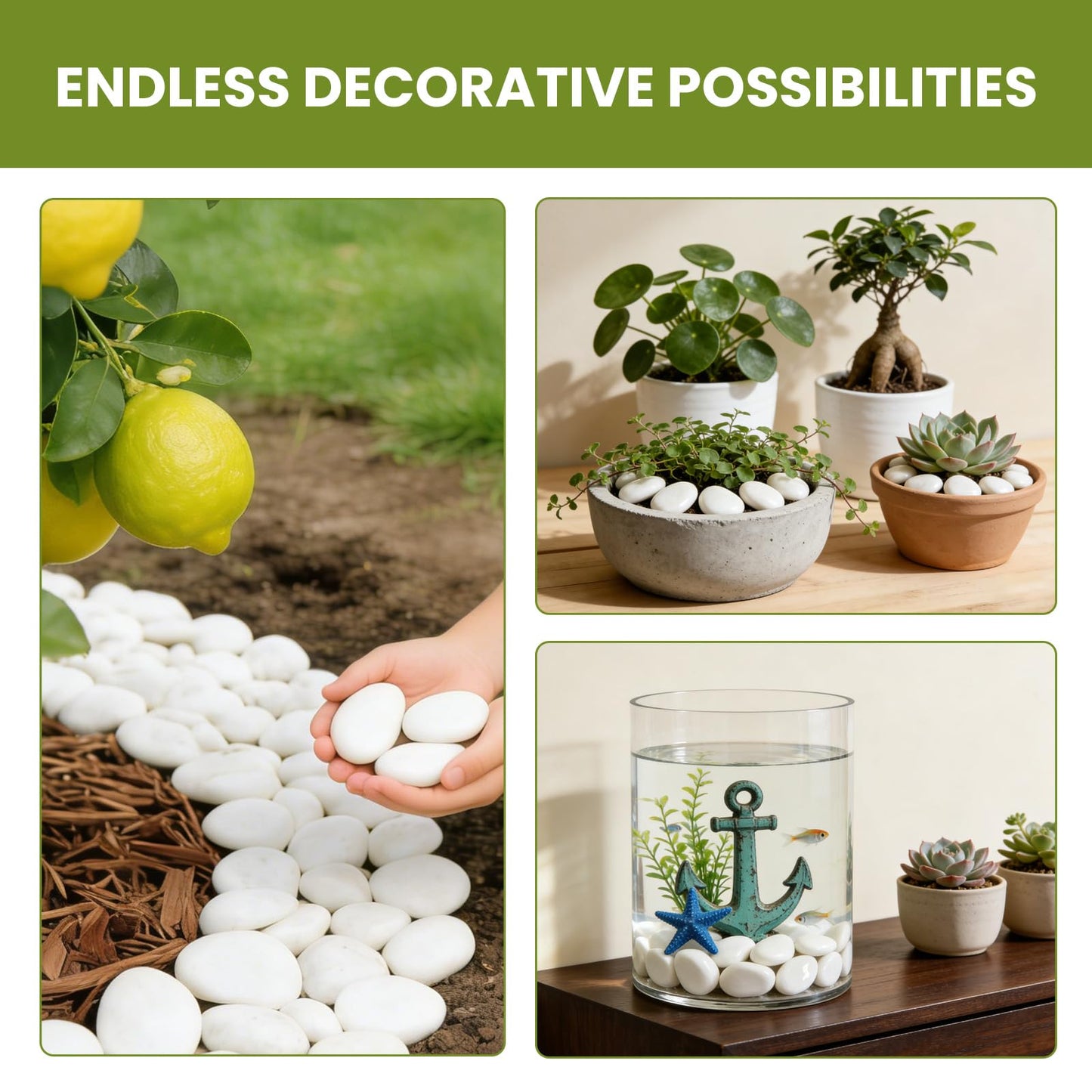Mengdewei 1-2 Inch Polished River Rocks, Decorative Stones for Indoor Plants, Vase Filler, Fish Tank & Aquarium, Garden Landscaping, White, 6LB