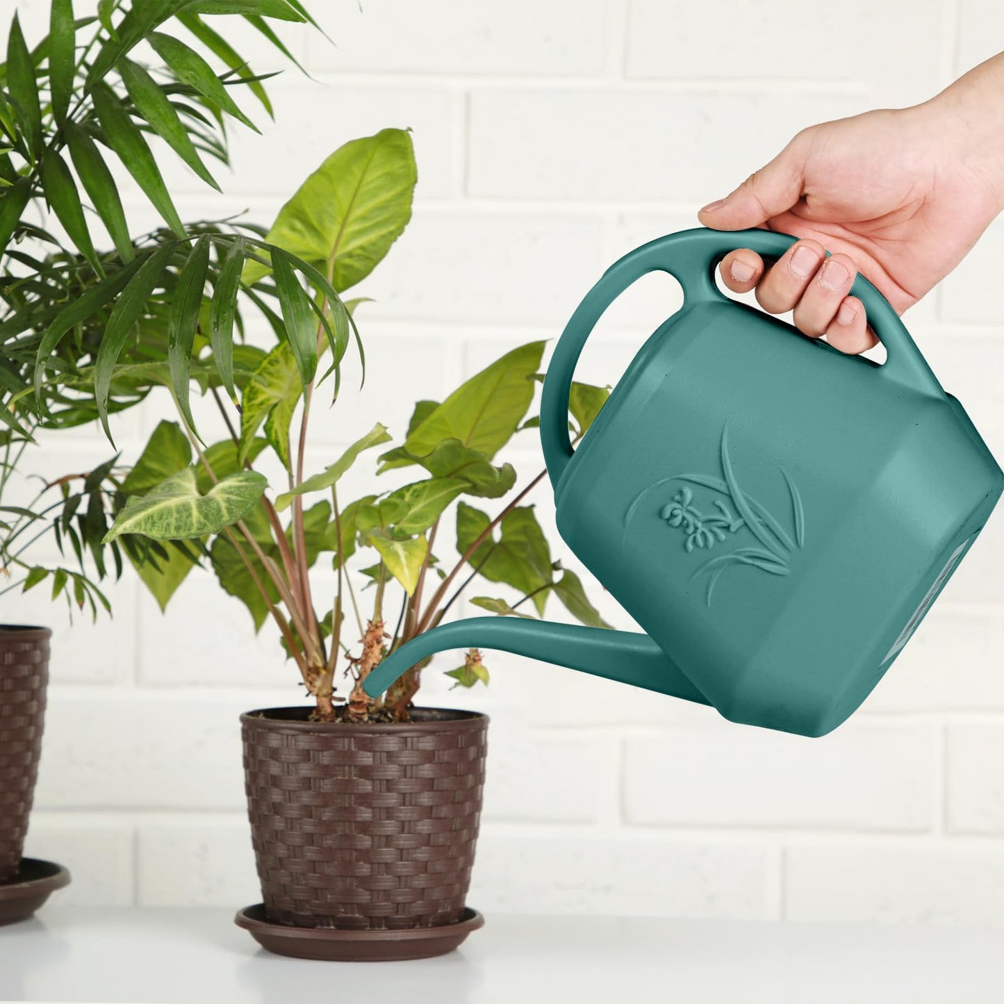 TTAOE GN Plastic Watering Can - for Indoor and Outdoor Plant - 1/2 Gallon - Green
