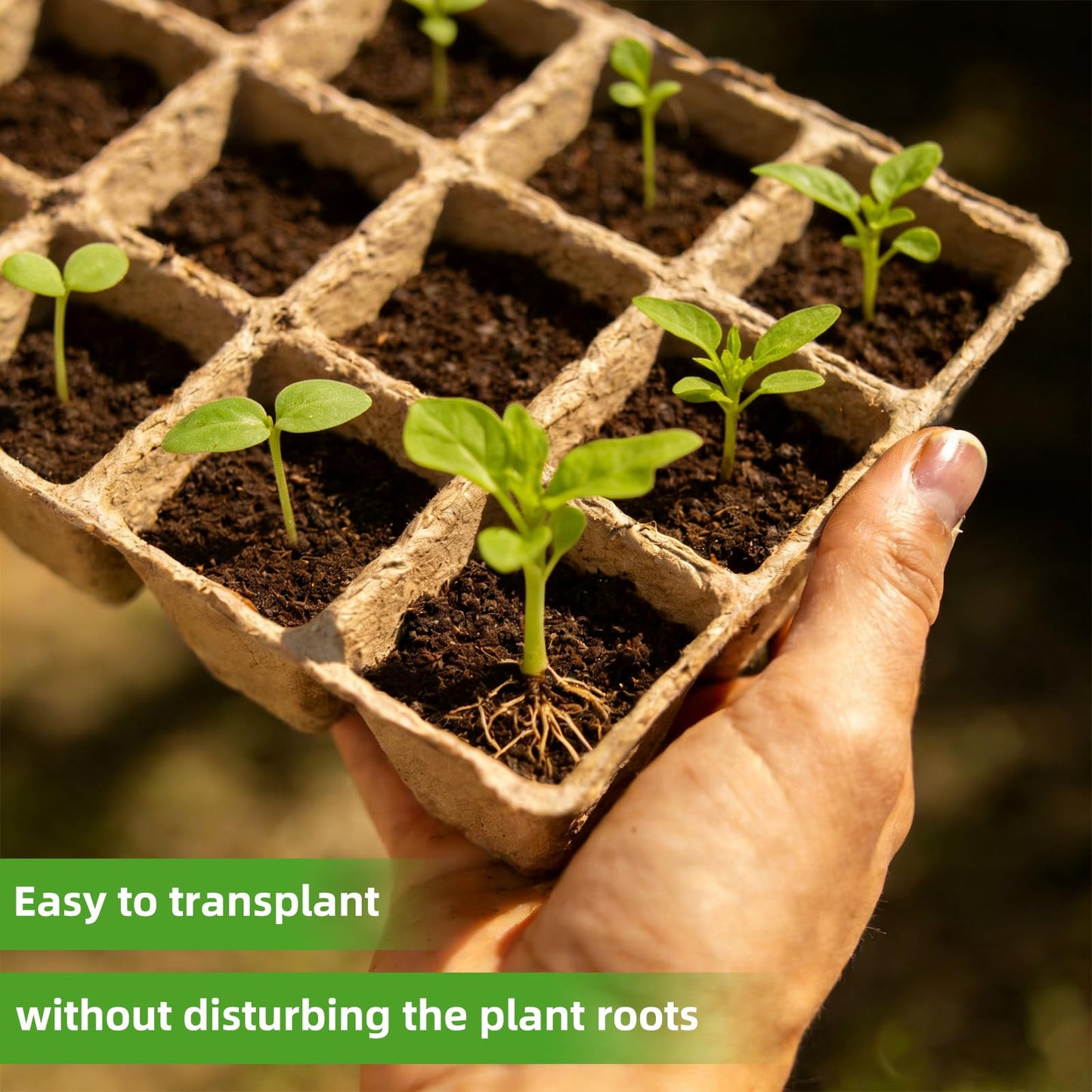 Hosetim Seed Starter Tray - 300 Cells Biodegradable Peat Pots for Seedlings, 25 Packs Garden Germination Seedling Starter Trays with Drain Holes, Organic Seed Starter Kit with Plant Labels(Khaki)