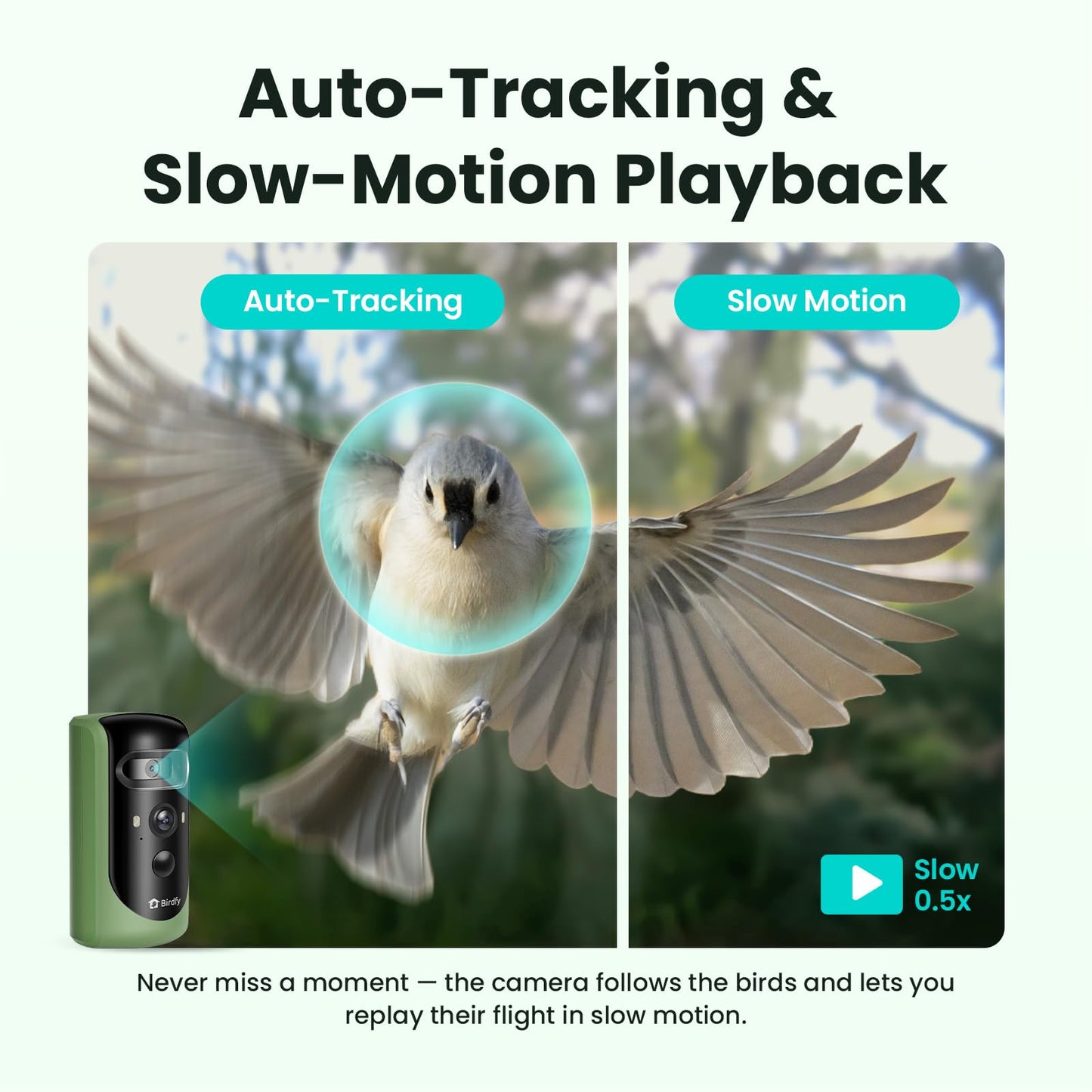 Birdfy 2 Smart Bird Feeder with Camera, AI Identifies 6000+ Bird Species, Dual-Lens 2K+1080P Camera for Live Streaming & Close-Up Photos, Solar-Powered Backyard Birdwatching Gift for Christmas