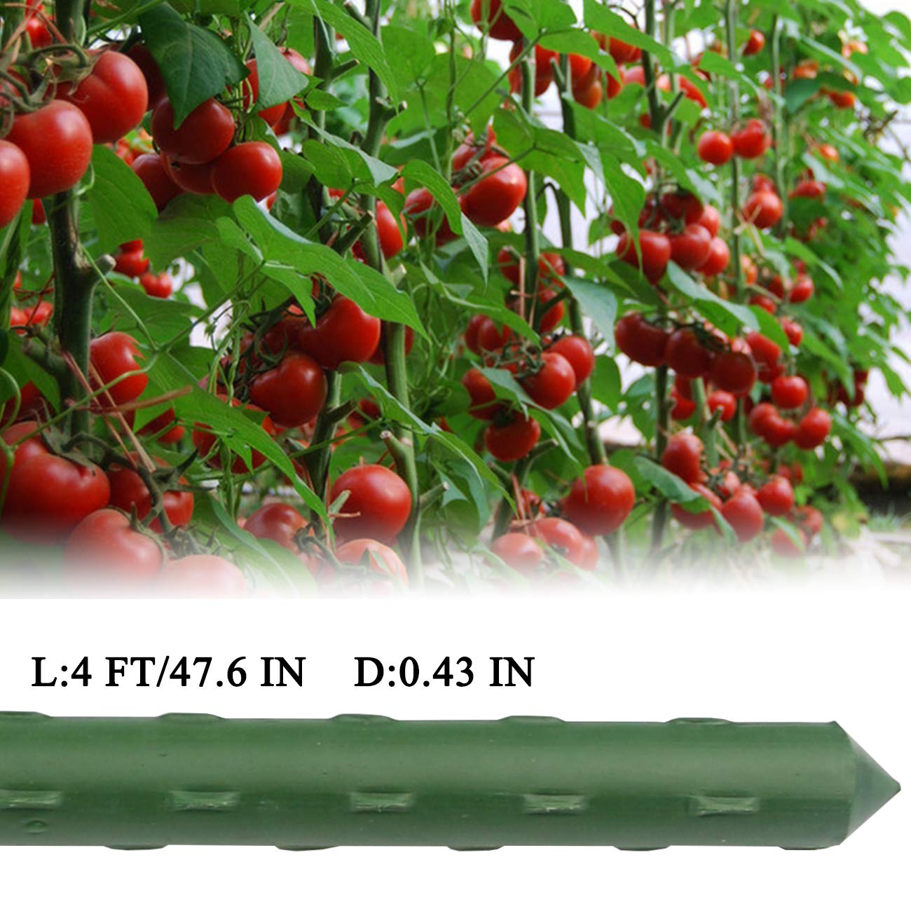 Sunnyglade 25PCS 48” Plant Stakes Garden Tomato Sticks Plant Stakes & Supports for Potted Plants