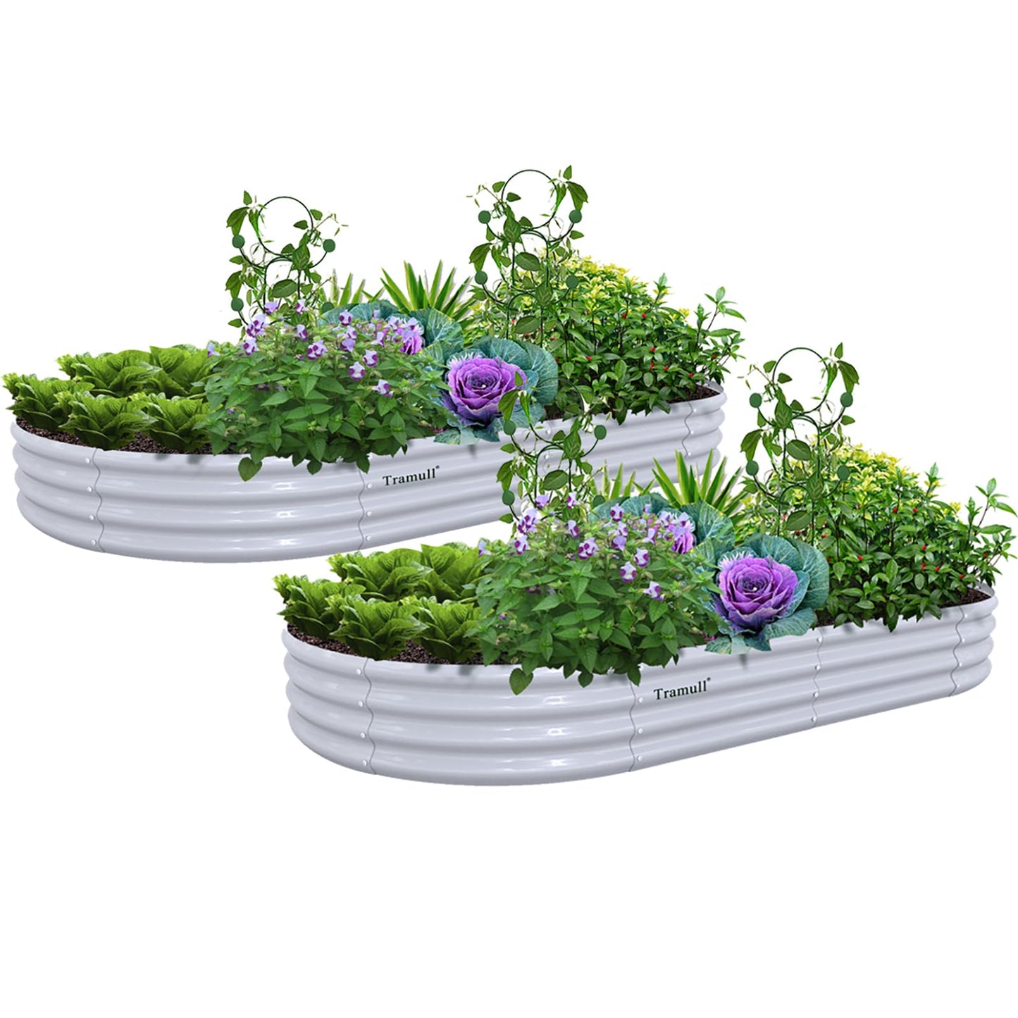 Tramull 2 Pack 8x4x1FT Galvanized Raised Garden Bed Kit Oval Metal Ground Planter Box Outdoor Bottomless Planter Raised Beds for Vegetables Flowers Herbs Fruits, Gray