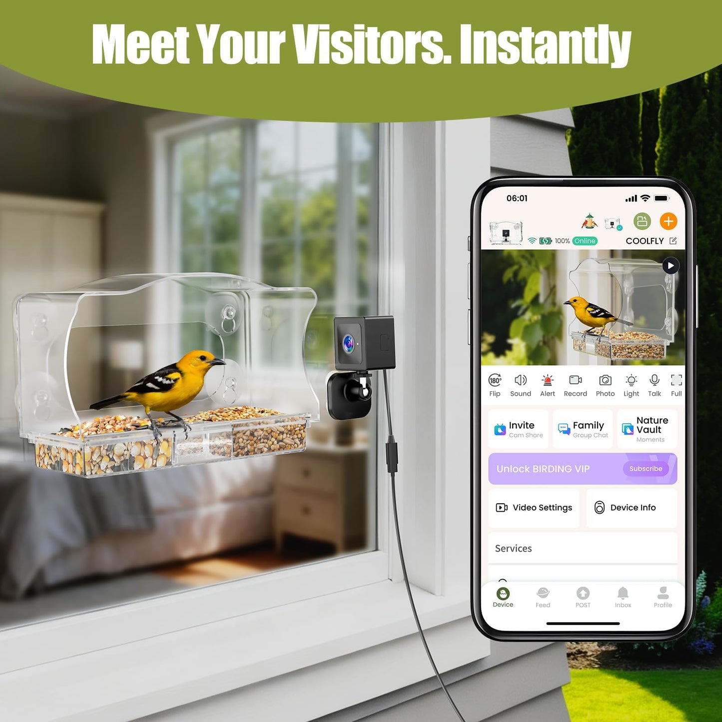 Freeseason Waterproof Smart Bird Feeder Camera with AI ID, 2K HD Glare-Free Video. All-Weather Outdoor Window Mount. Unique Gifts for Elderly Parents, Kids, Birding Lovers & Gardeners