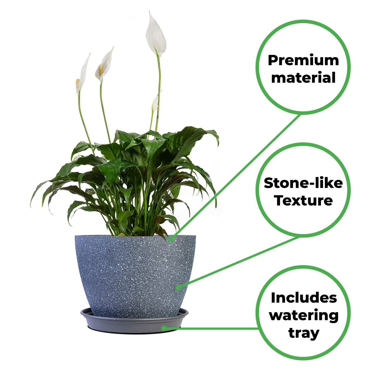 PERFECT PLANTS Peace Lily 6in in Midnight Blue Décor Pot | Spathiphyllum | 15in. Tall | Easy Care Houseplant | Perfect for Moderate to Bright Light Conditions | Air Purifying