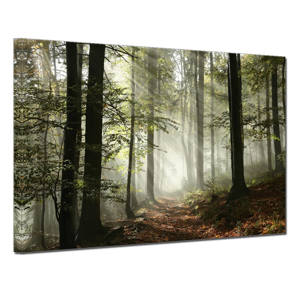 Forest Canvas Wall Art Trees Foggy Morning Spring Rustic Landscape for Bedroom Bathroom Decorations Modern Artwork Print Framed Painting Living Room Home Office Wall Décor 12x16inch