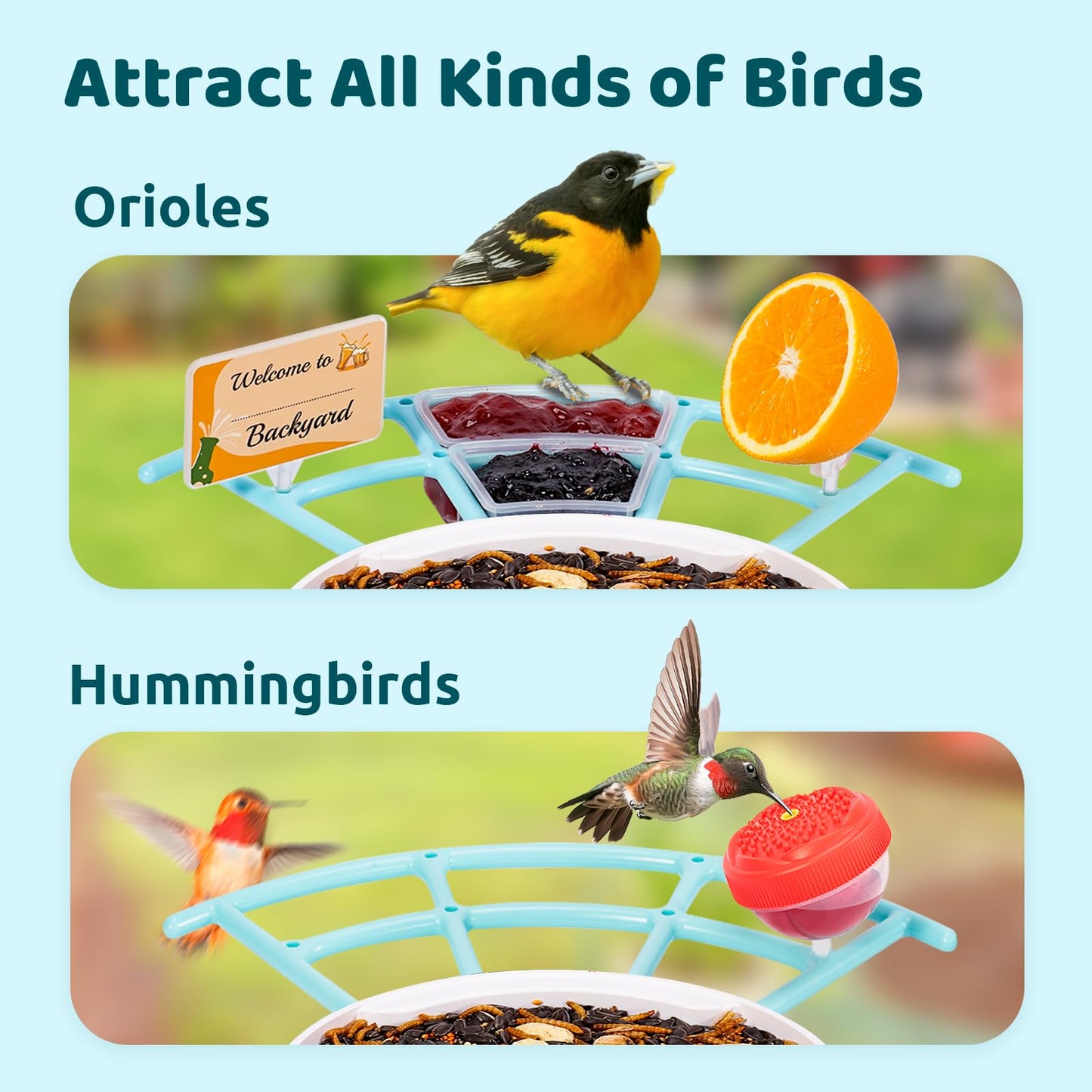 NETVUE by Birdfy Pro Smart Bird Feeder with Camera Solar Panel, Instant Arrival Alerts, Live Stream & Night Vision for Outdoors & Backyard Hummingbird, Cardinalis & Oriole Watching, Ideal Gifts, Blue