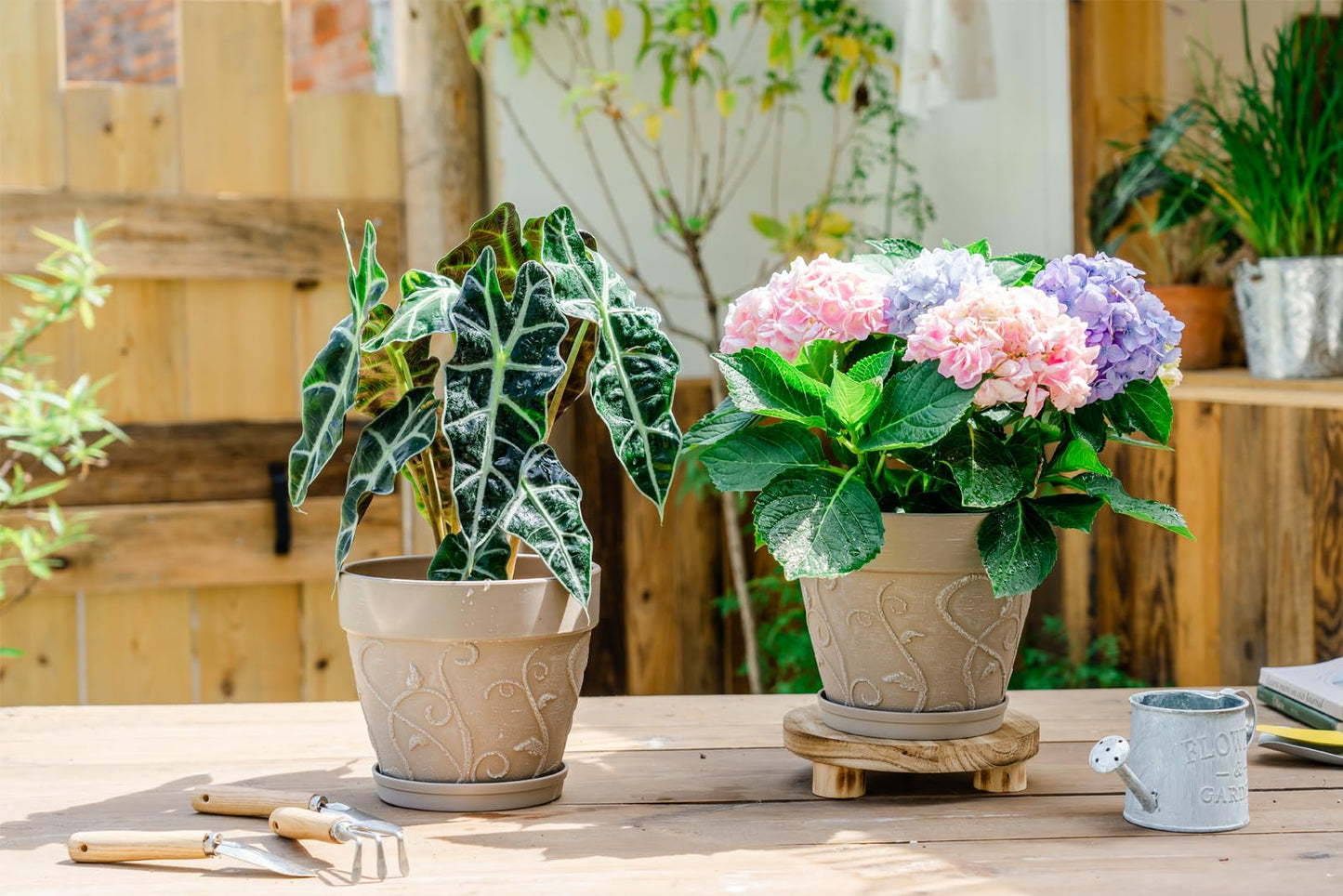Melphoe Plant Pots Indoor with Drainage & Saucer, 2Pack 7 inch Flower Pots Outdoor Planters for Indoor Plants Garden Home Decor Cactus Succulent, Rigid Plastic (Imitation-Terracotta) Vine-Embossed