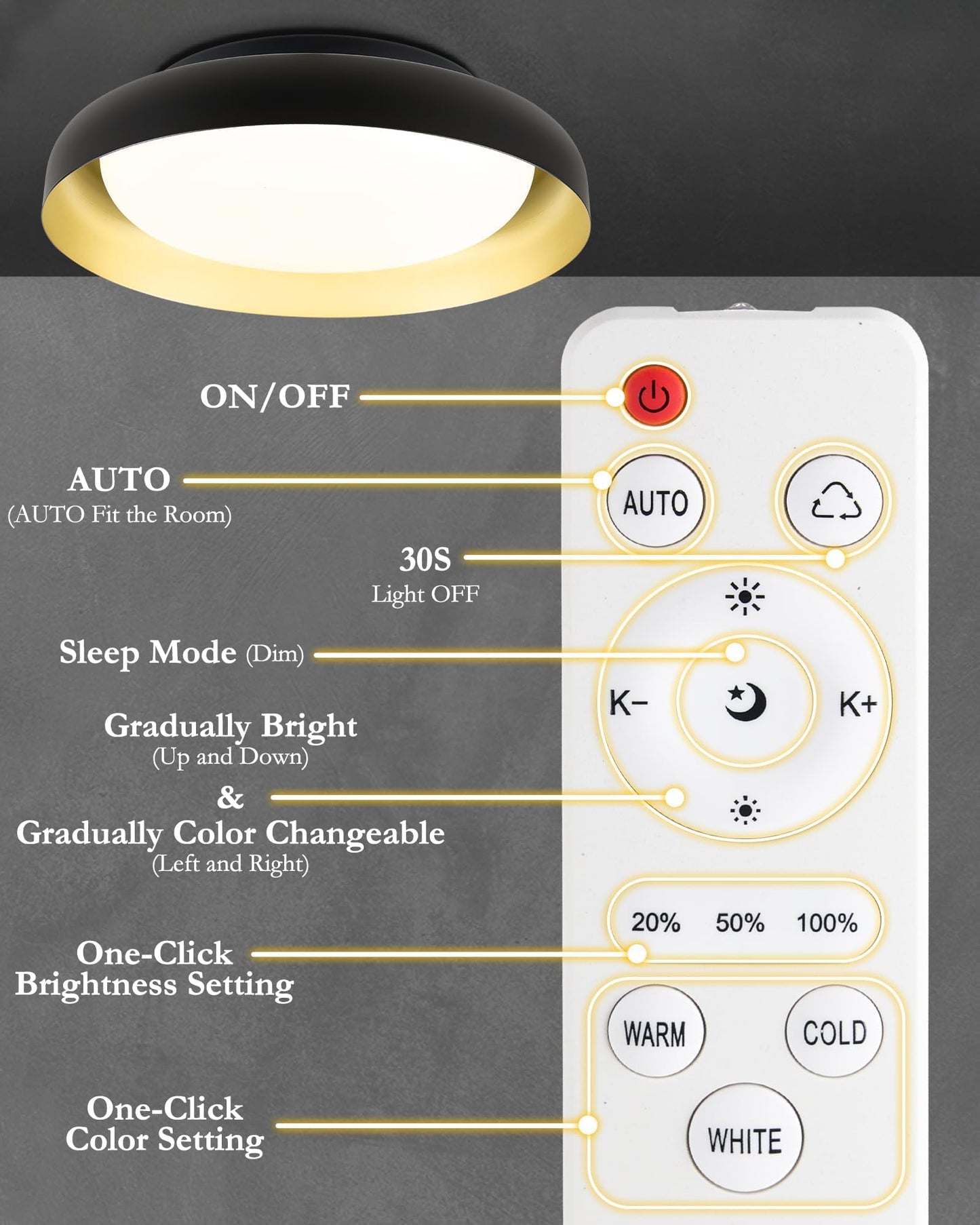 Ken & Ricky Flush Mount Ceiling Light Fixture, Led Dimmable 24w for Bedroom Kitchen Bathroom Laundry Hallway Entryway,Remote Control (Black and Gold,12Inch,1PK)