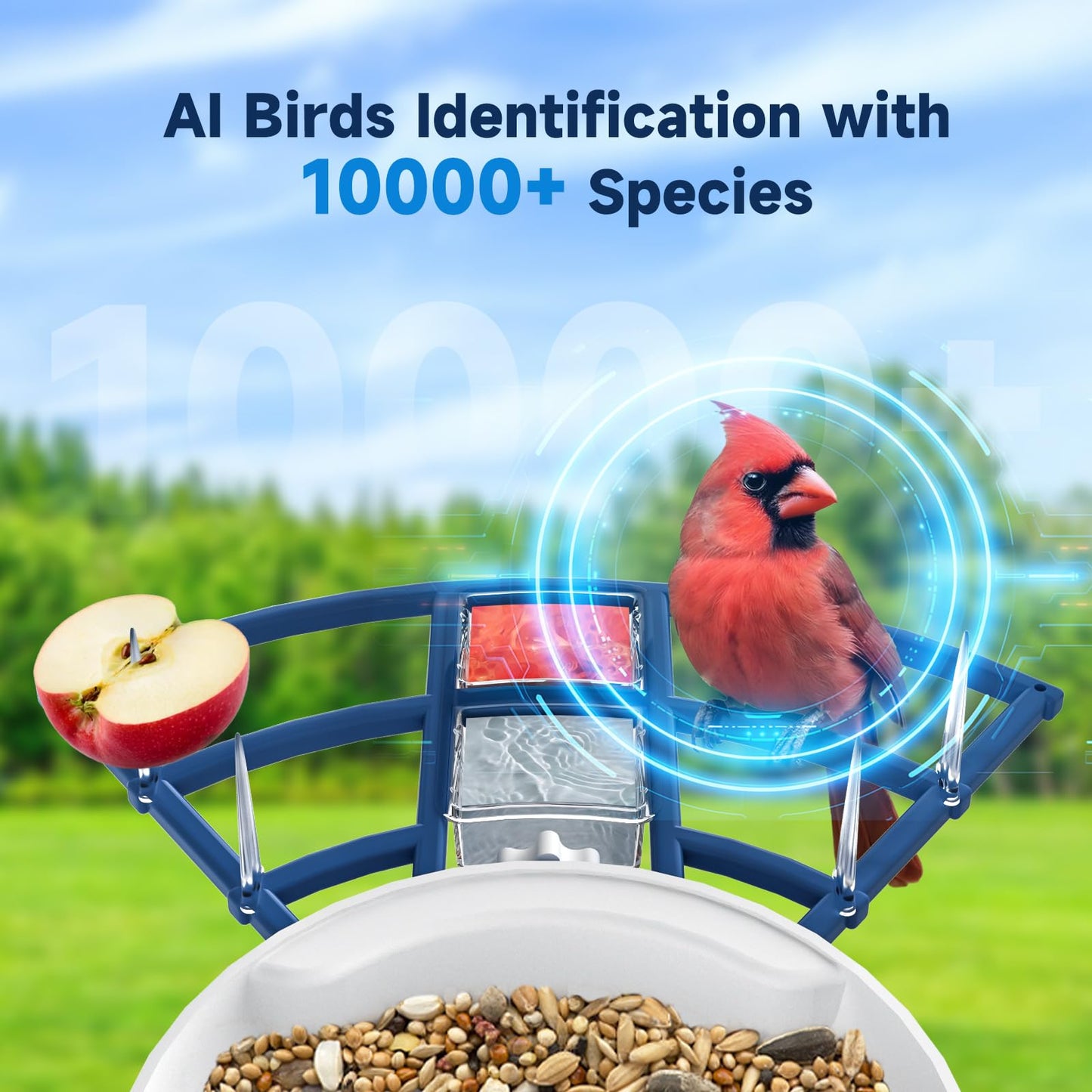 Smart Bird Feeder with Camera,Bird House Camera with Solar Panel,FHD Birds Cam for Bird Watching, AI Identification,Auto Capture & Real-time Notifications,Ideal Gift for Birds Lovers,Parents,Friends