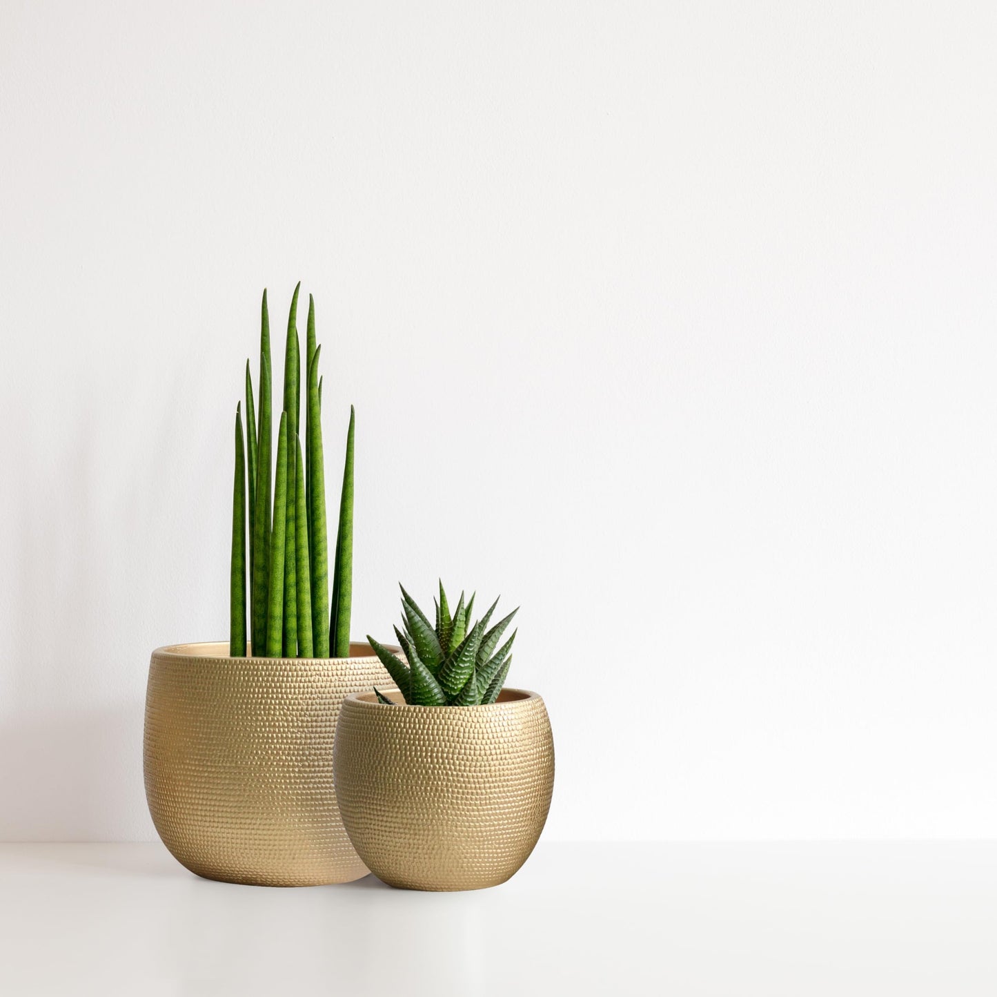 Olly & Rose Barcelona Ceramic Plant Pot Set 2 - Gold Flower Pots - Indoor & Outdoor Planters Home and Garden Decor (Gold, 14cm + 17.5 cm)