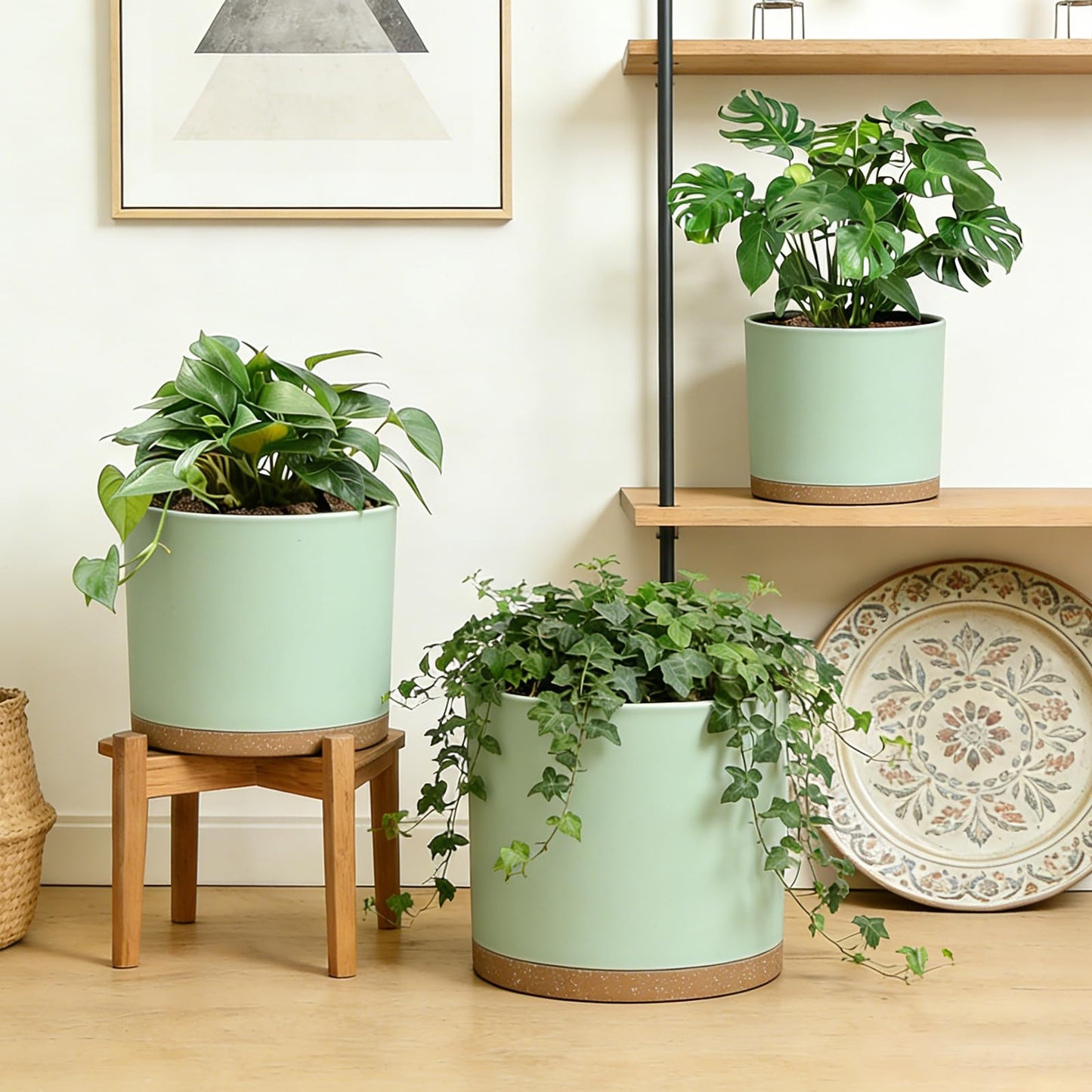 DGJDLWHX Large Plant Pots Set of 3 – 8", 9", 10" Indoor Flower Pots with Drainage Holes and Saucers, Big Planters for Monstera, Fiddle Leaf Fig, Snake Plant – 5 Colors