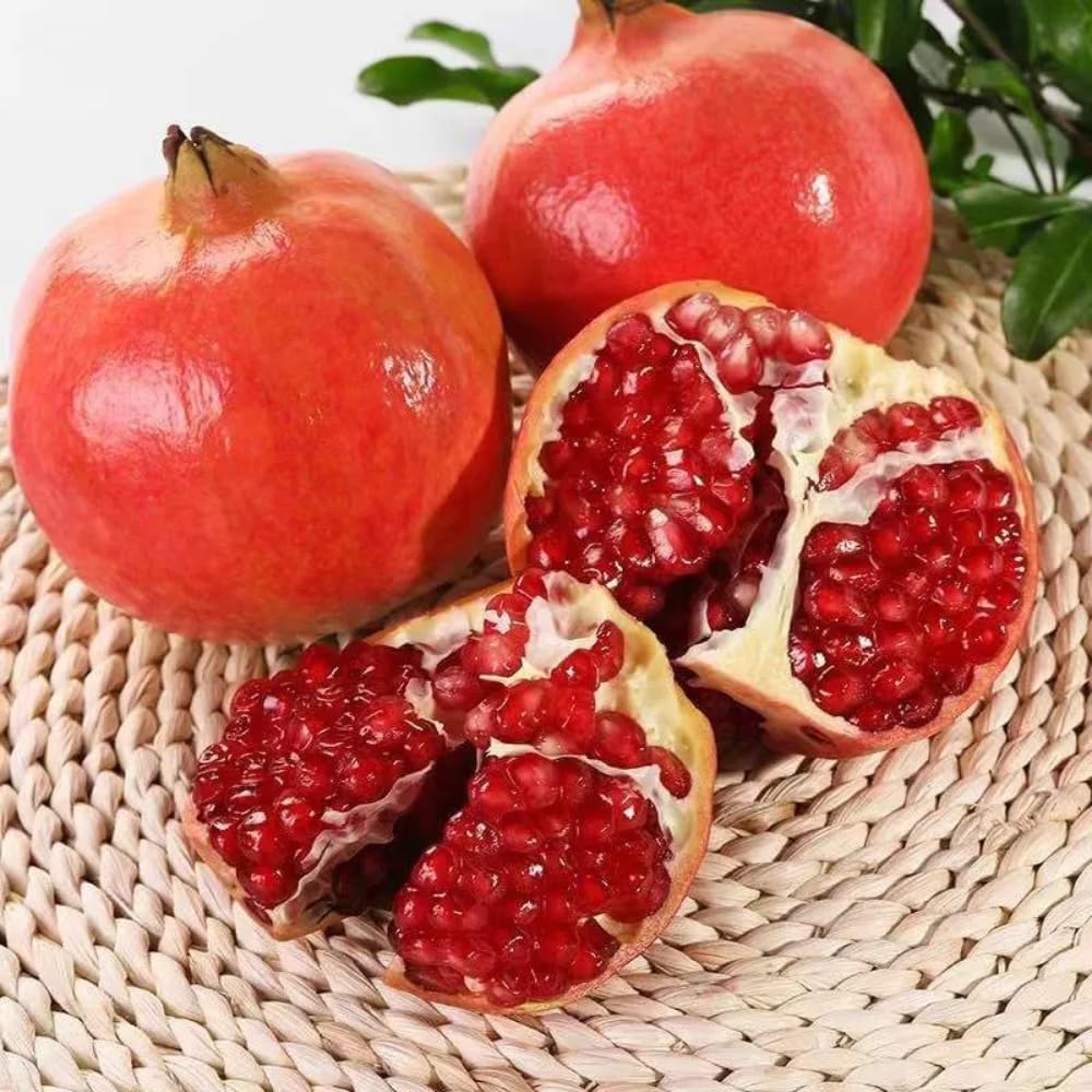 Red Pomegranate Tree Live Plant, 6-12” Tall, Sweet Pomegranate Fruit Plant in 4” Pot, Cold Hardy