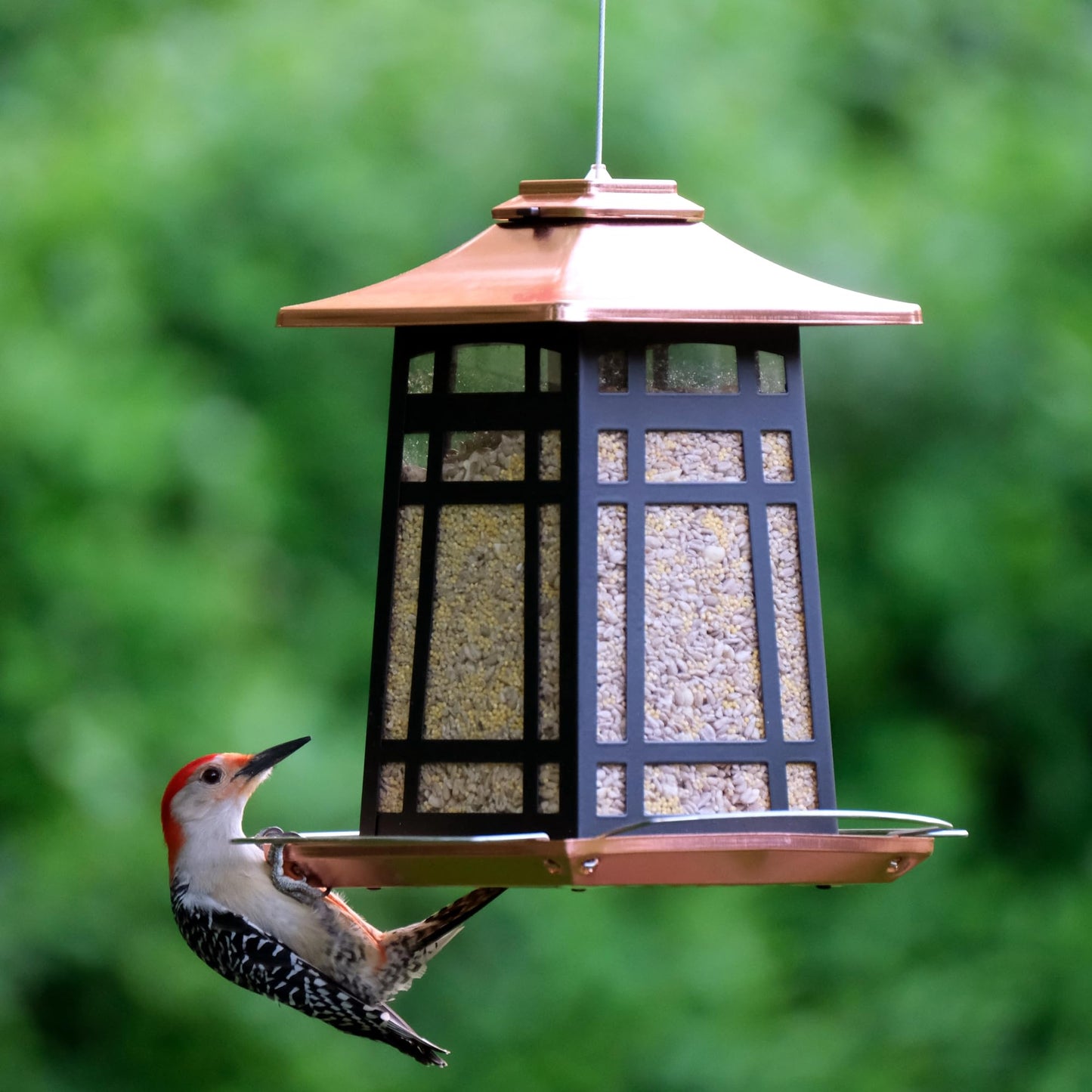 Nature's Way Outdoor Garden Décor Hanging Wild Bird Seed Feeder, Metal Copper Gazebo Feeder, Easy Fill, Rain Drainage, Black and Copper