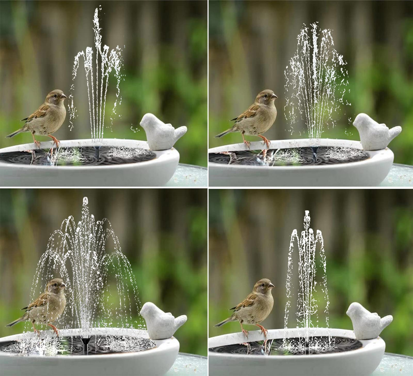 Lewisia 5W Solar Fountain Pump with Battery Backup LED Lighting for Patio Pool Koi Pond Bird Bath Garden Decoration Submersible Solar Powered Water Pump Kit
