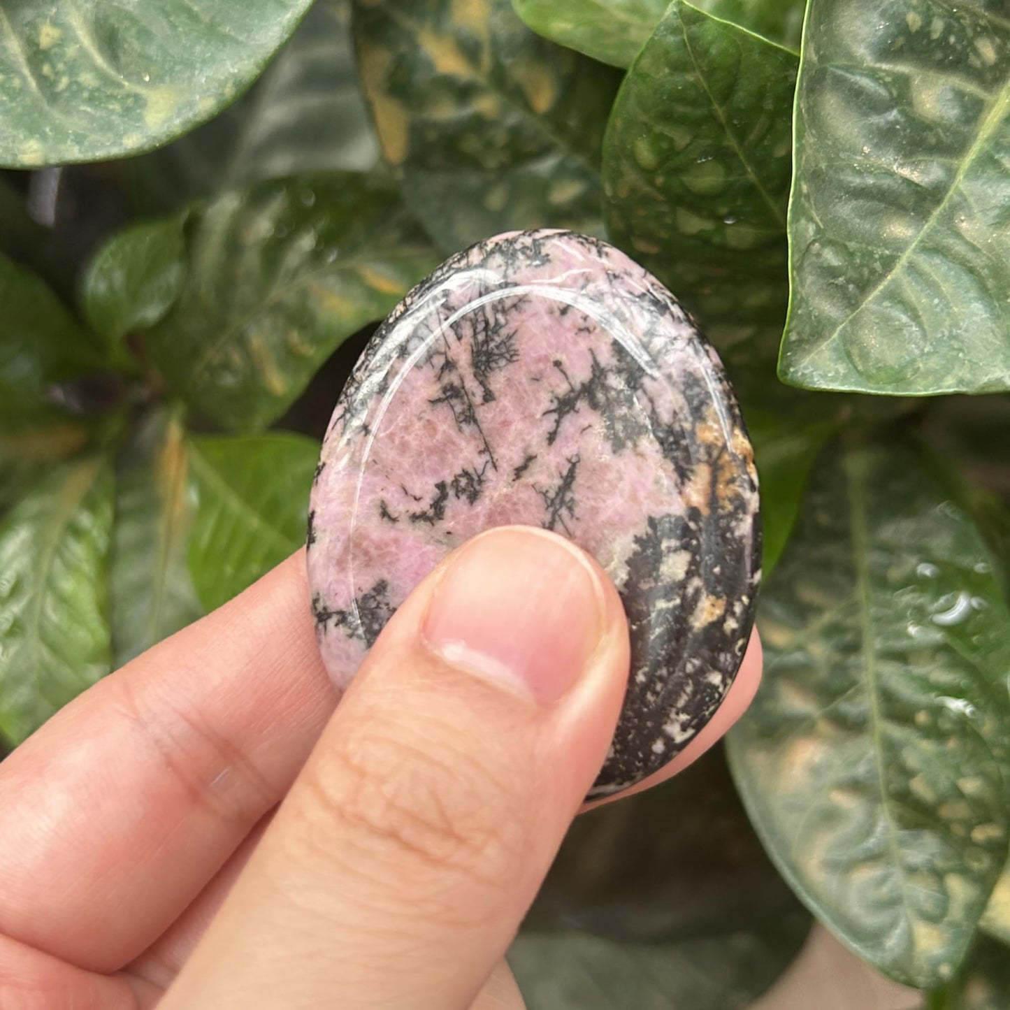 Bacatgem Natural Rhodonite Water Drop Chakra Thumb Worry Stone,Stress Relax Healing Reiki Crystal Pocket Palm Stones