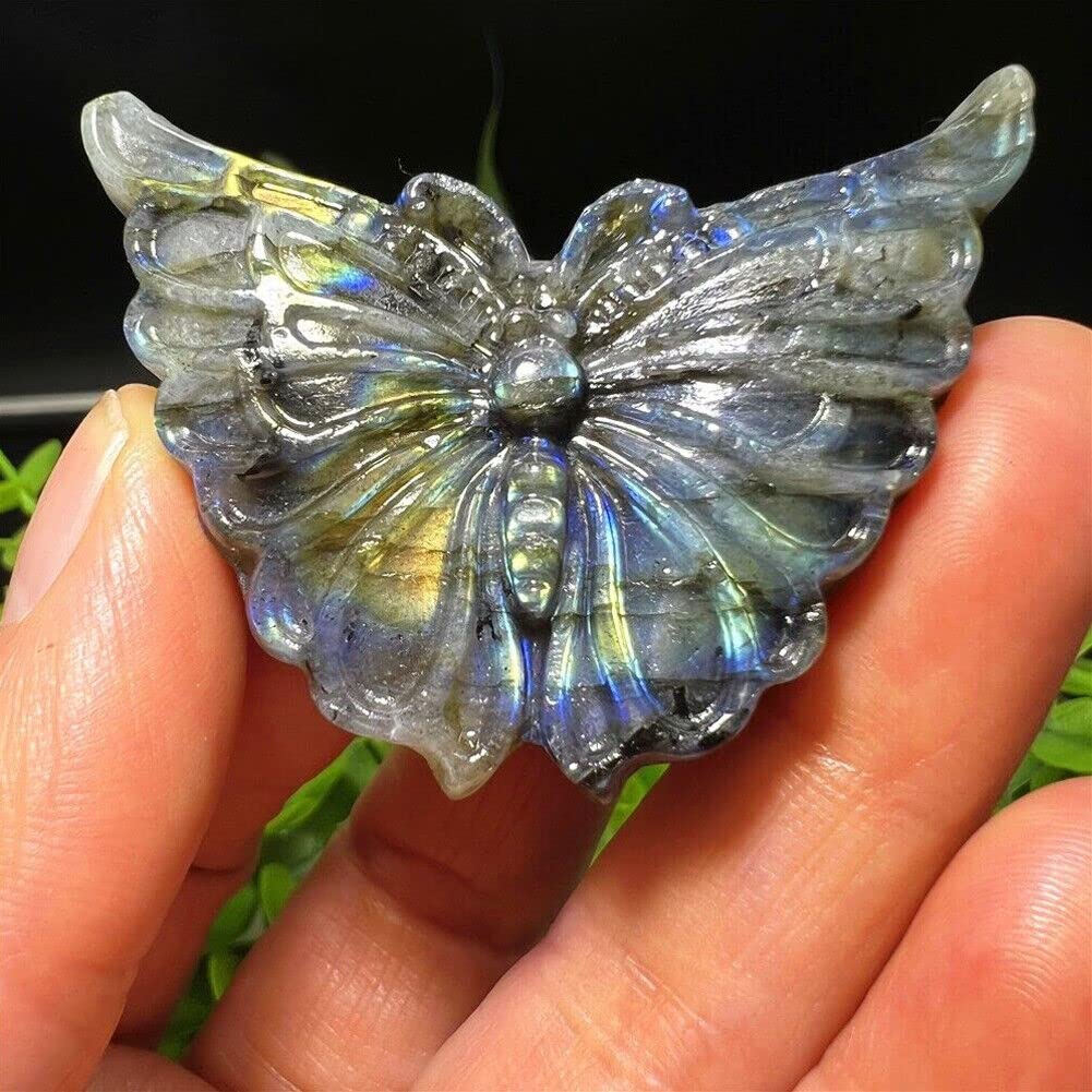 TEAMWILL 2" Natural Labradorite Carved Butterfly Skull Quartz Crystal Healing Reiki