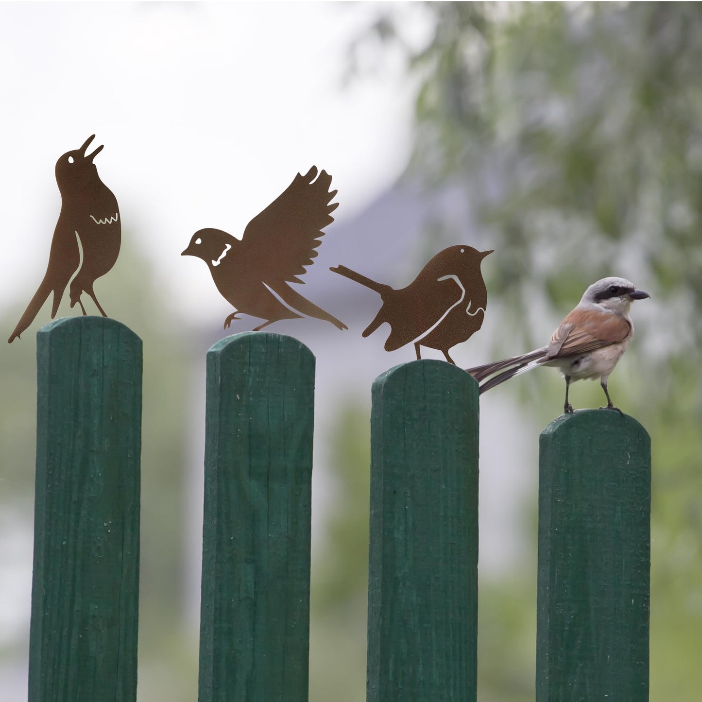 MIRATE 5PCS Rusty Metal Birds Decoration,Outdoor Fence Yard Decor,Metal Birds Craft Statue Ornaments for Yard Art,Garden Decor