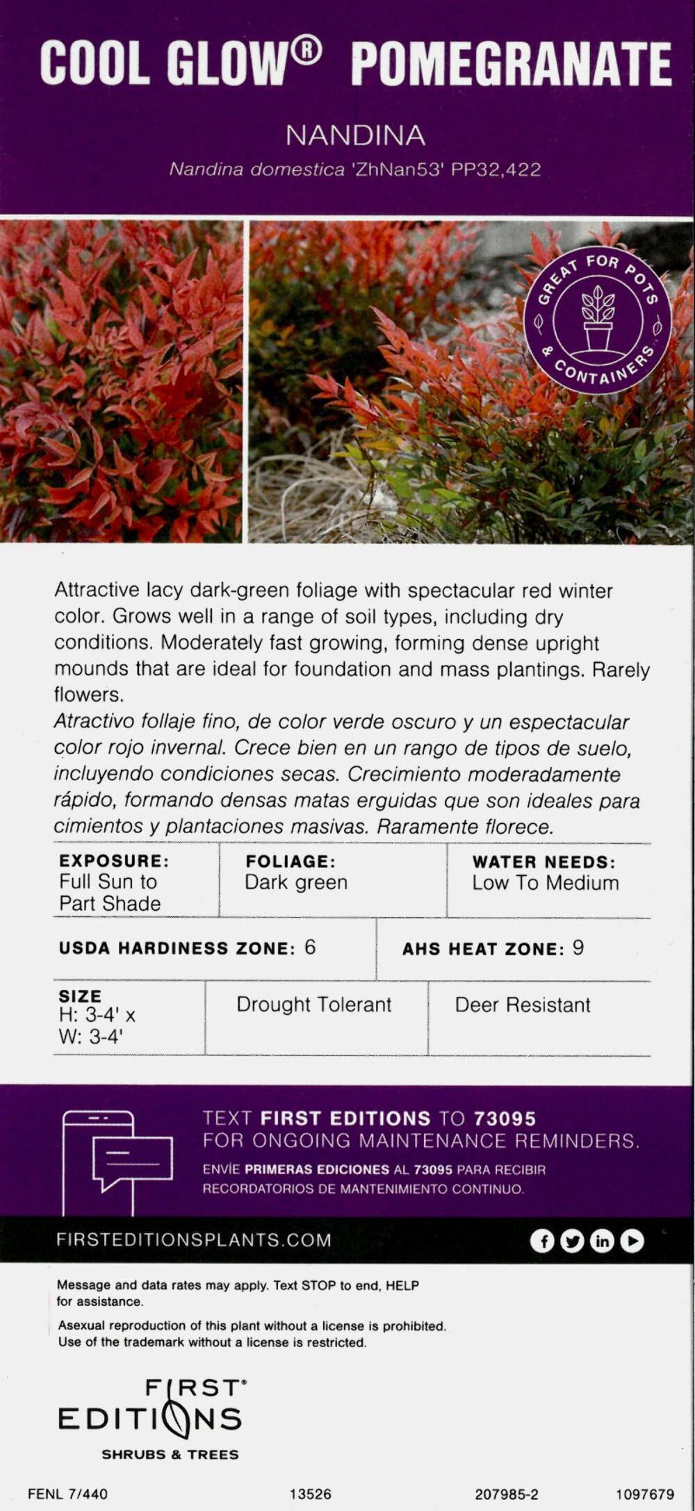Cool Glow® Pomegranate Heavenly Bamboo, 3 Gallon