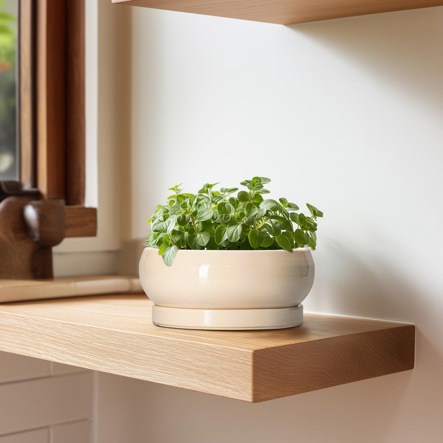 EPFamily Small Bonsai Pots - 6 Inch Ceramic Succulent Planters for Indoor Plant Outdoor, Shallow Planter with Drainage Hole and Saucer, Round Succulent Pots, Kitchen Decor, Gifts for Women Men, Beige