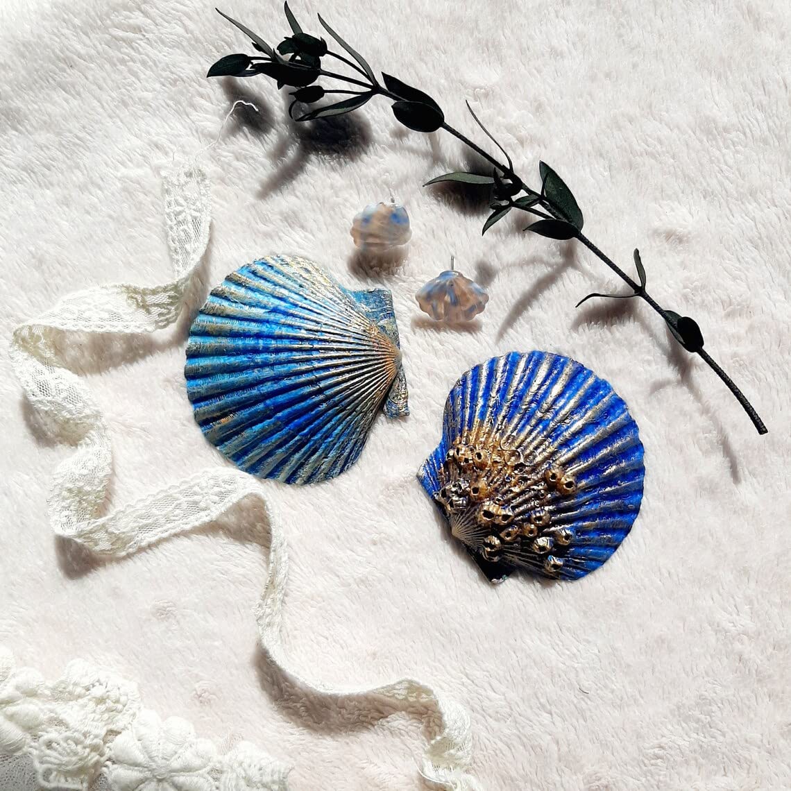 SEAJIAYI 10 PCS Large Scallop Shells 4-5 inch Natural White Scallop Shells from Sea Beach for DIY Craft Decor