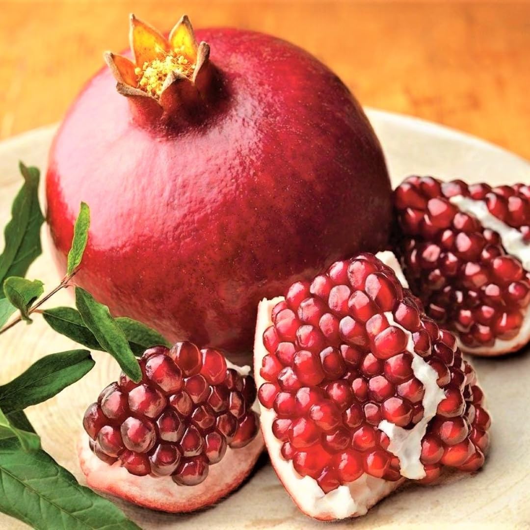 Pomegranate Tree Live Plant, Potted Pomegranate Plant, 6 to 10 Inch Tall, Pomegranate Fruit Tree, Pomegranate Plants Live, Pomegranate Bush, Red Pomegranate Tree, 1 Year-Old Plant