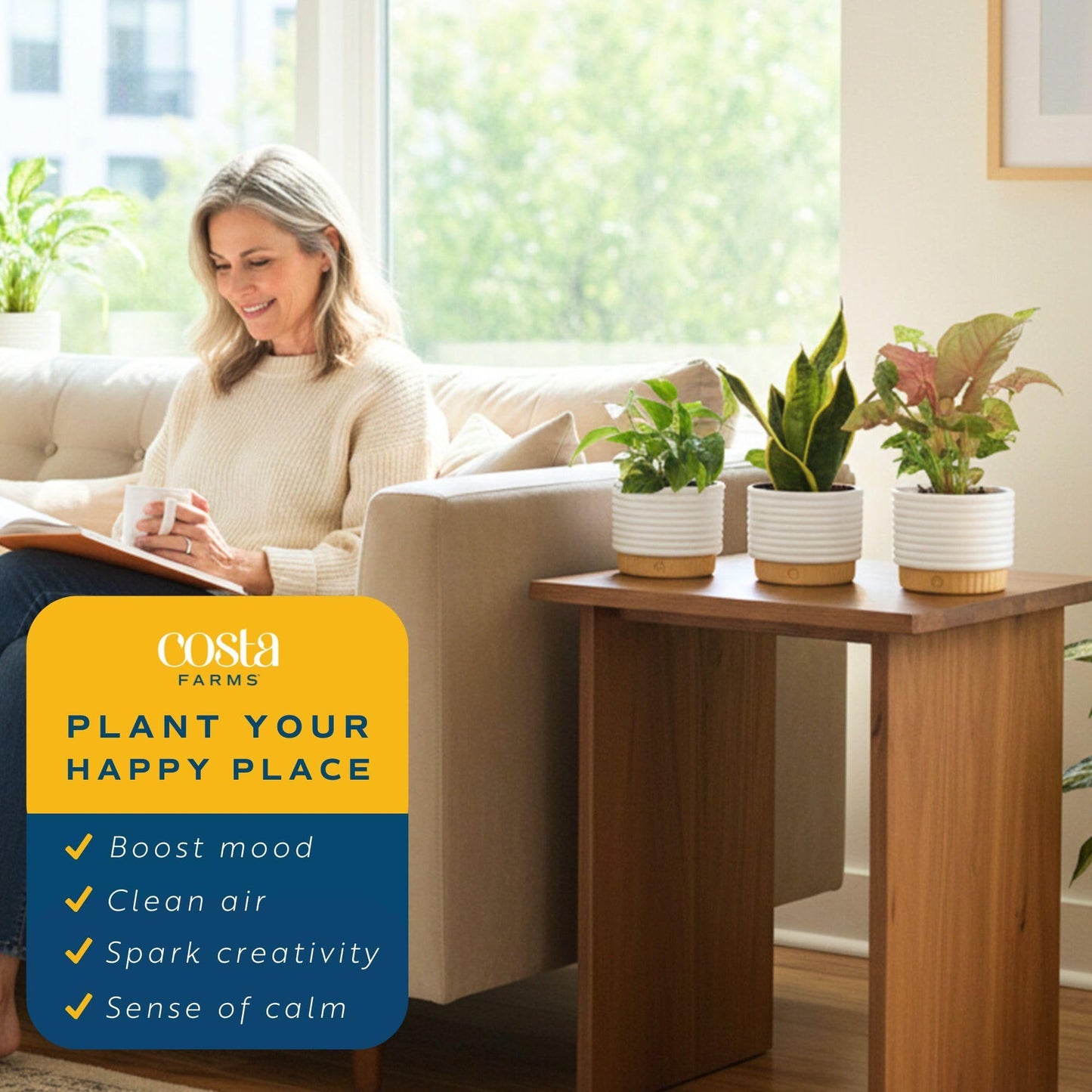 Costa Farms Live Indoor House Plants (3-Pack), Hand Selected Easy to Maintain Indoor Assorted Houseplants in Plant Pots, Curated Air Purifying Mix, Low Light, Home Office Decor Plant Gift
