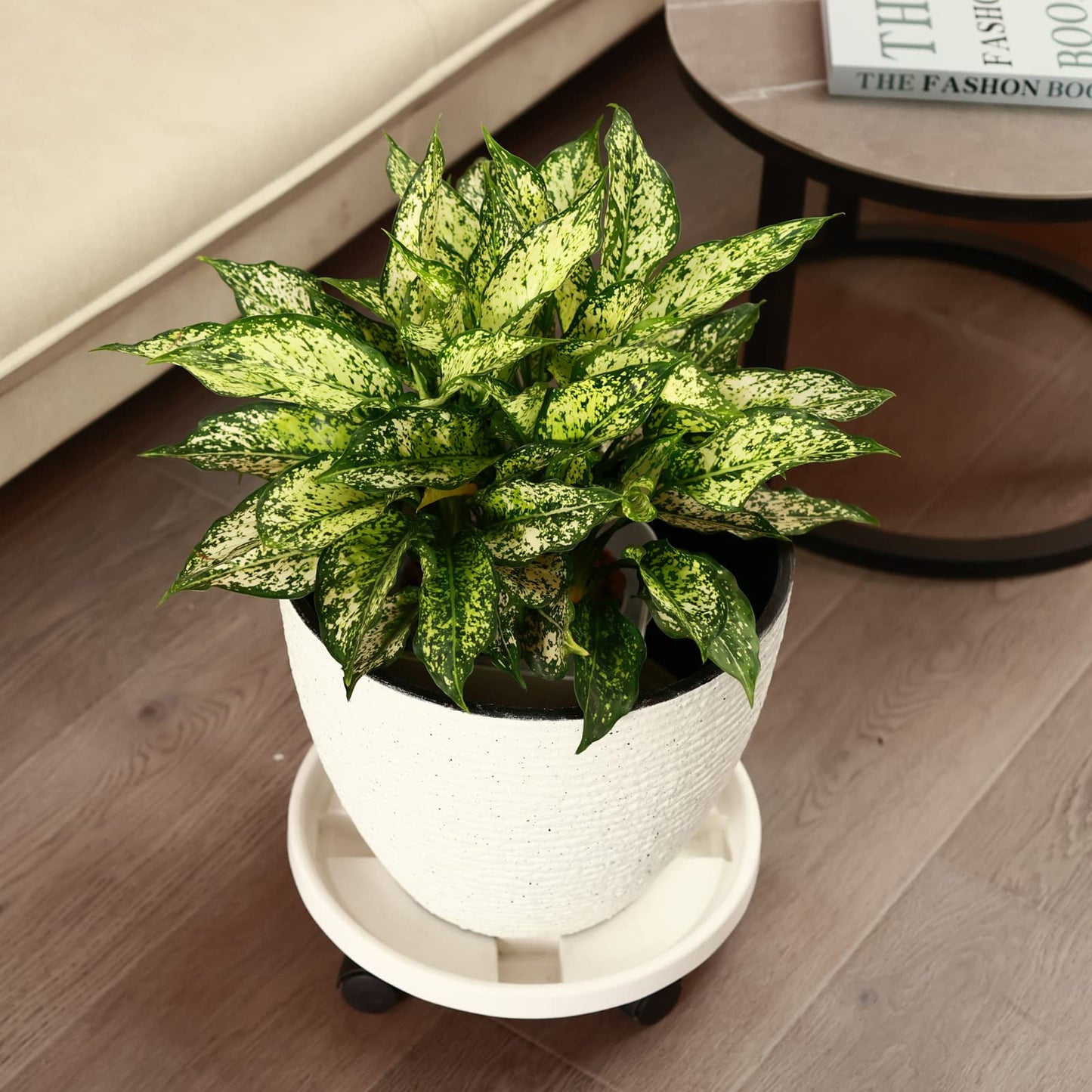 5 Pakcs Large Plant Caddy with Wheels 15.8" Rolling Plant Stands Heavy-duty Plastic Plant Roller Base Pot Movers Plant Saucer on Wheels Indoor Outdoor Plant Dolly with Caster Tray Coaster White
