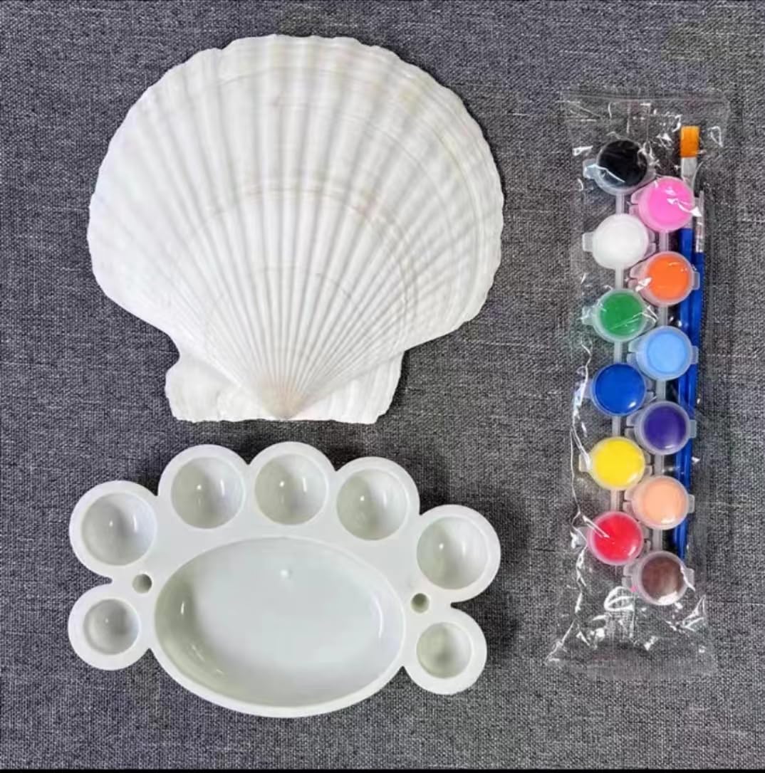SEAJIAYI 10 PCS Large Scallop Shells 4-5 inch Natural White Scallop Shells from Sea Beach for DIY Craft Decor