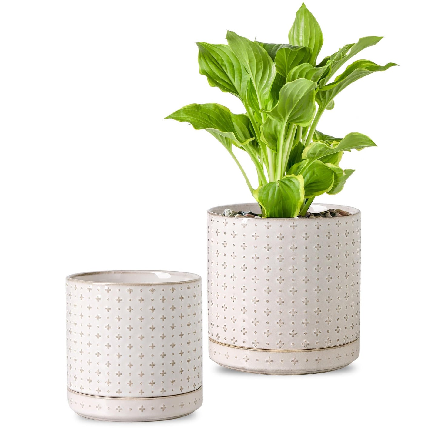 Plant Pots, 5+6 inch Planters Set of 2, Ceramic Pot for Indoor Plants with Drainage Hole and Saucer, Small Flower Pot for Succulent, White