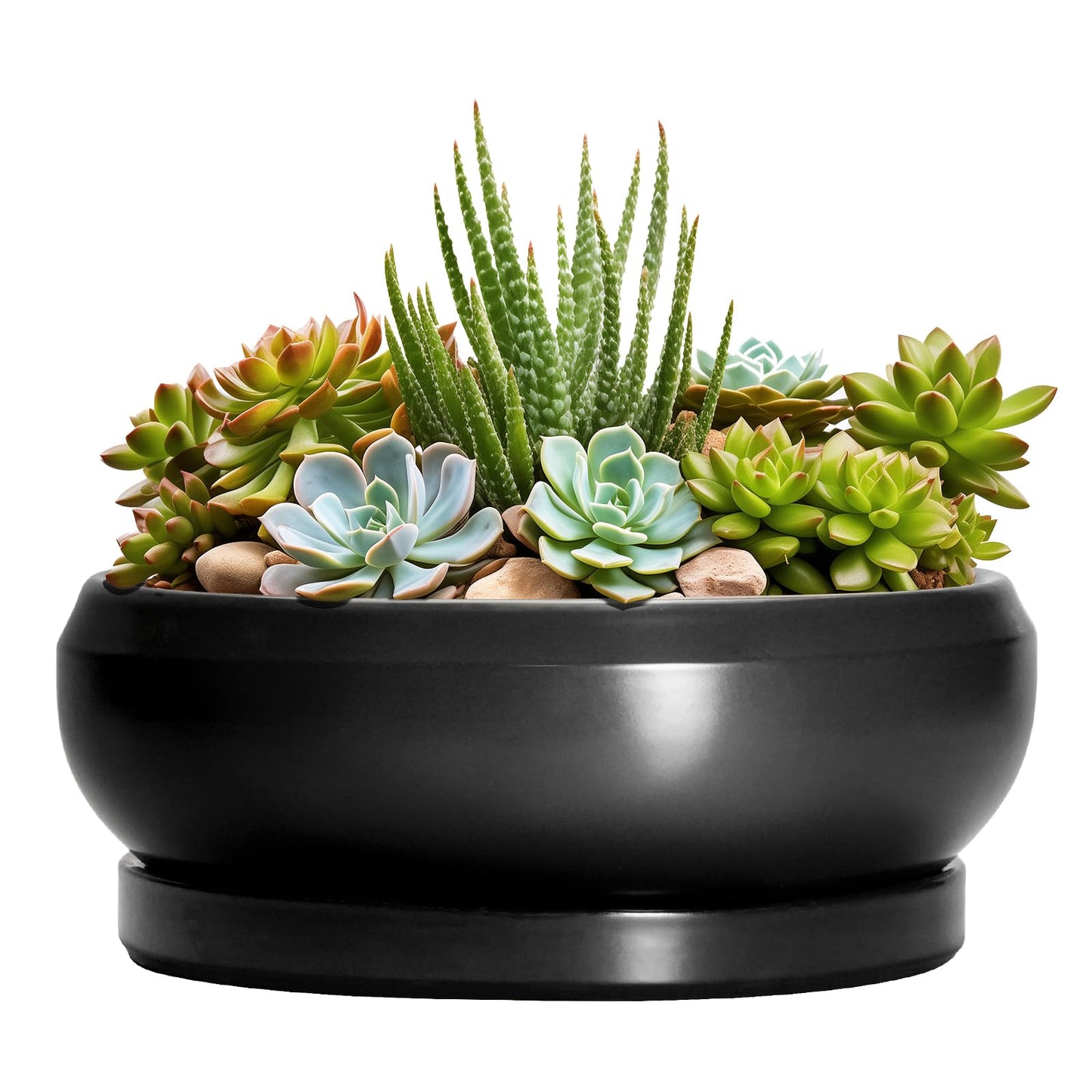 EPFamily Succulent Planters 8 Inch - Ceramic Bonsai Pots for Indoor Outdoor, Round Succulent Pots with Drainage Hole and Saucer, Modern Shallow Planter Bowl, Garden Home Decor, Birthday Gifts, Black