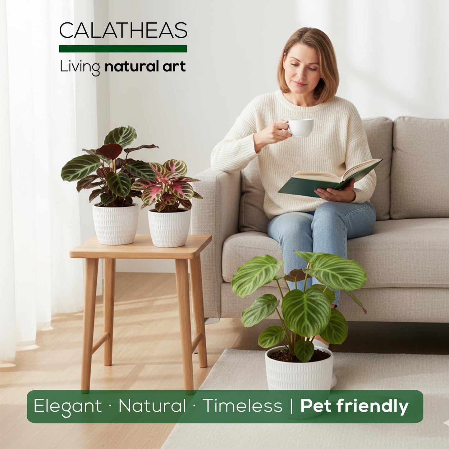 Calathea Collection (4 Pack) Live Plants – Stunning Foliage Prayer Plants Like Orbifolia, Rose Painted, White Star & Dottie – Easy Indoor Tropical Plants – Pet Friendly – Natural Air Purifiers