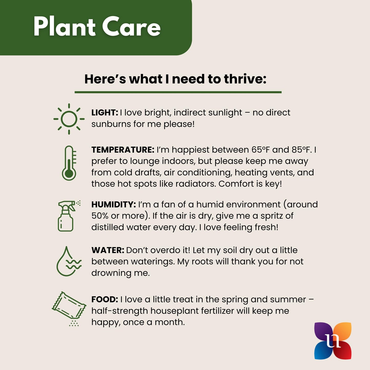 Aglaonema Ruby Ray Live Plant by United Nursery 6 inch Pink Decorative Pot Mother’s Day Gift for Patio and Home Decor Stunning Variegated Foliage (Nursery Pot)