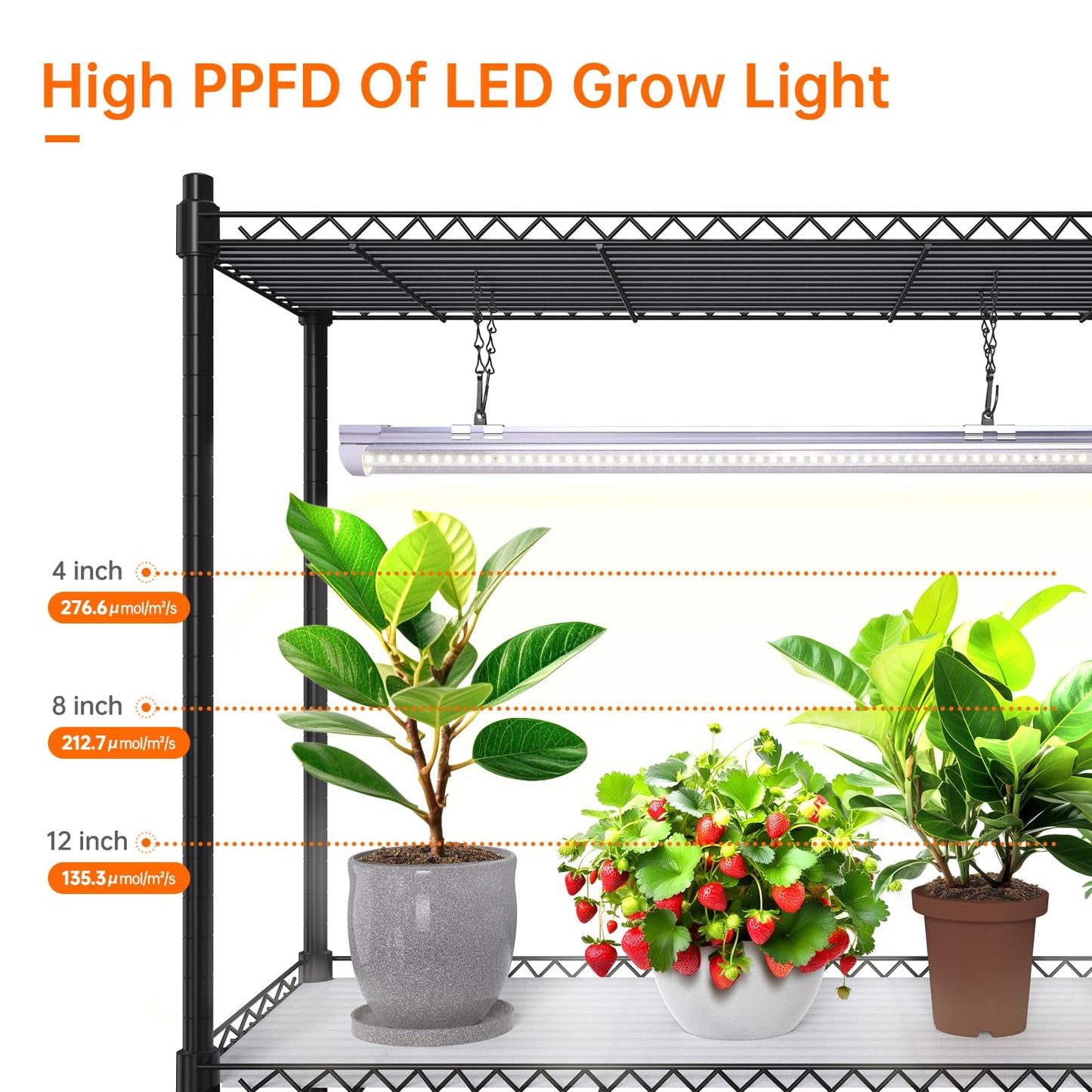 Bstrip Plant Shelf with Grow Light, 5-Tier Plant Stand with T8 24W Grow Light for Indoor Plants with Wheel, Grow Light Shelf with Timer for Indoor Plant, Seedling, Seed Starting, 29.5x13.8x59IN