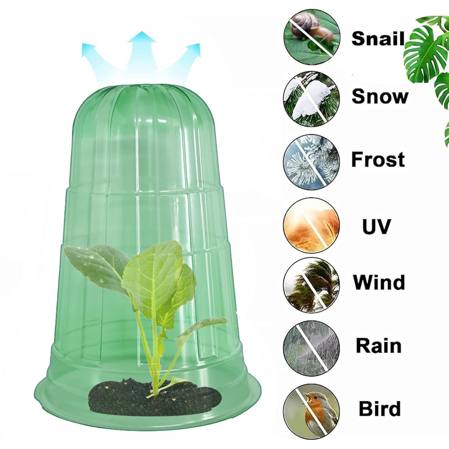 Fshow Upgraded Garden Cloches for Plants, Reusable Bell Plant Protector, Garden Protection from Animals Snails Birds Chickens Insect， Compatible with Slug Collar (Green 10 Pack)