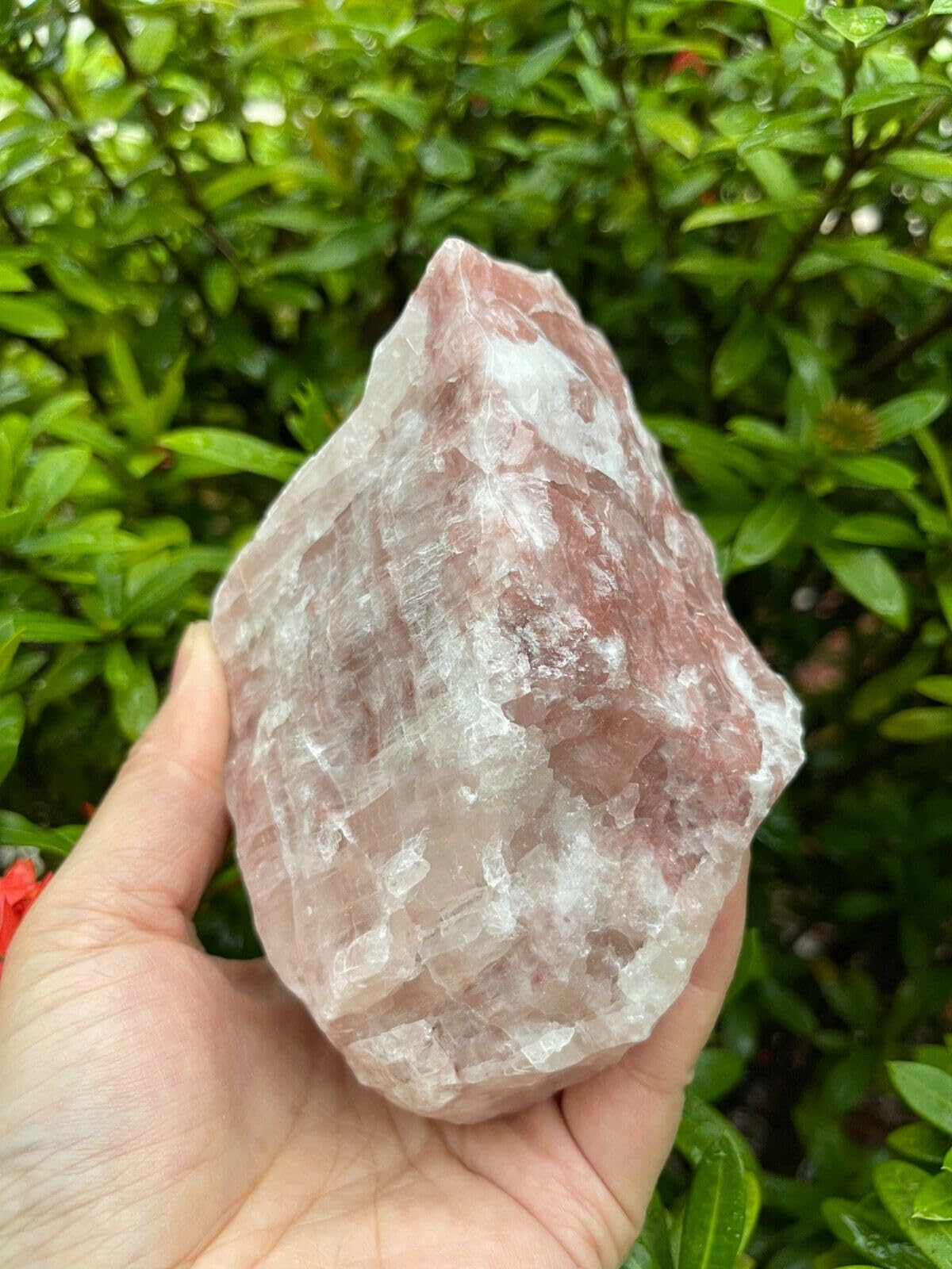 GAF TREASURES XL Strawberry Calcite Stone, 3-4" Natural Strawberry, Raw Calcite Healing Crystal (Strawberry Calcite, 0.5-1 lb)