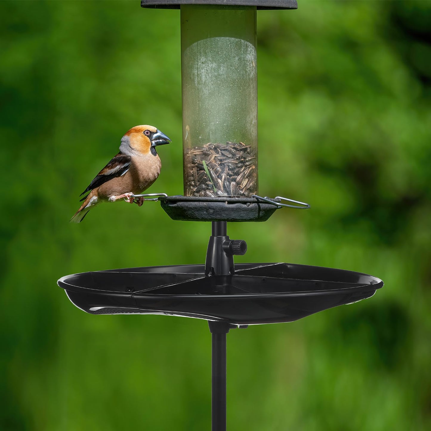 Geelin 21'' Plastic Bird Seed Catcher Tray for 1'' Outdoor Pole Feeders, Removable Bird Seed Catcher Tray for Hummingbird Bee Feeders Outdoors, Backyard, Garden, Not Included Pole