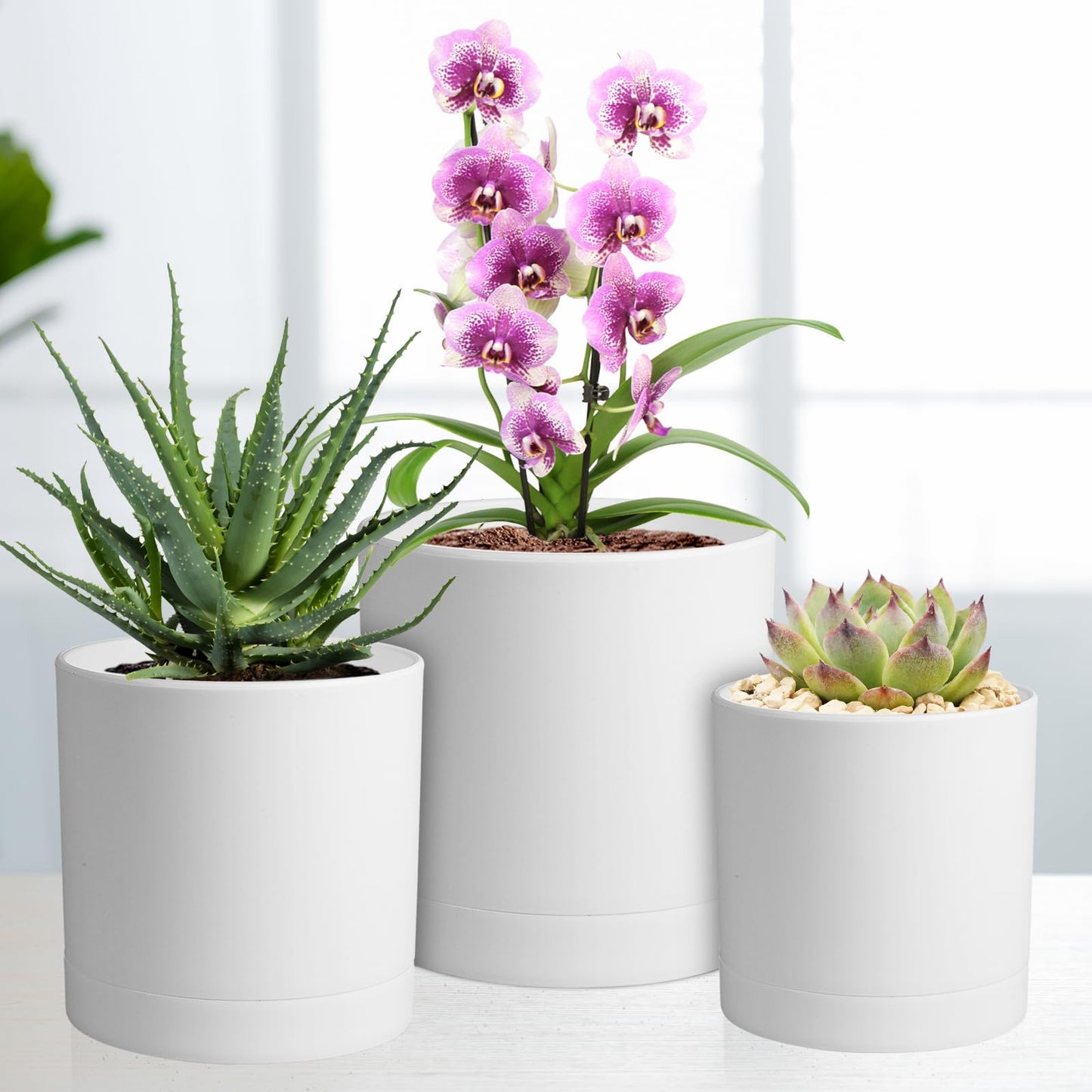 Meowell 6/5/4 inch Flower Pots, Pack of 3 Cylinder Plant Pots for Small Indoor Outdoor Plants, Plastic Planters with Drainage Holes and Saucers for Garden Succulent Nursery House Plants, White