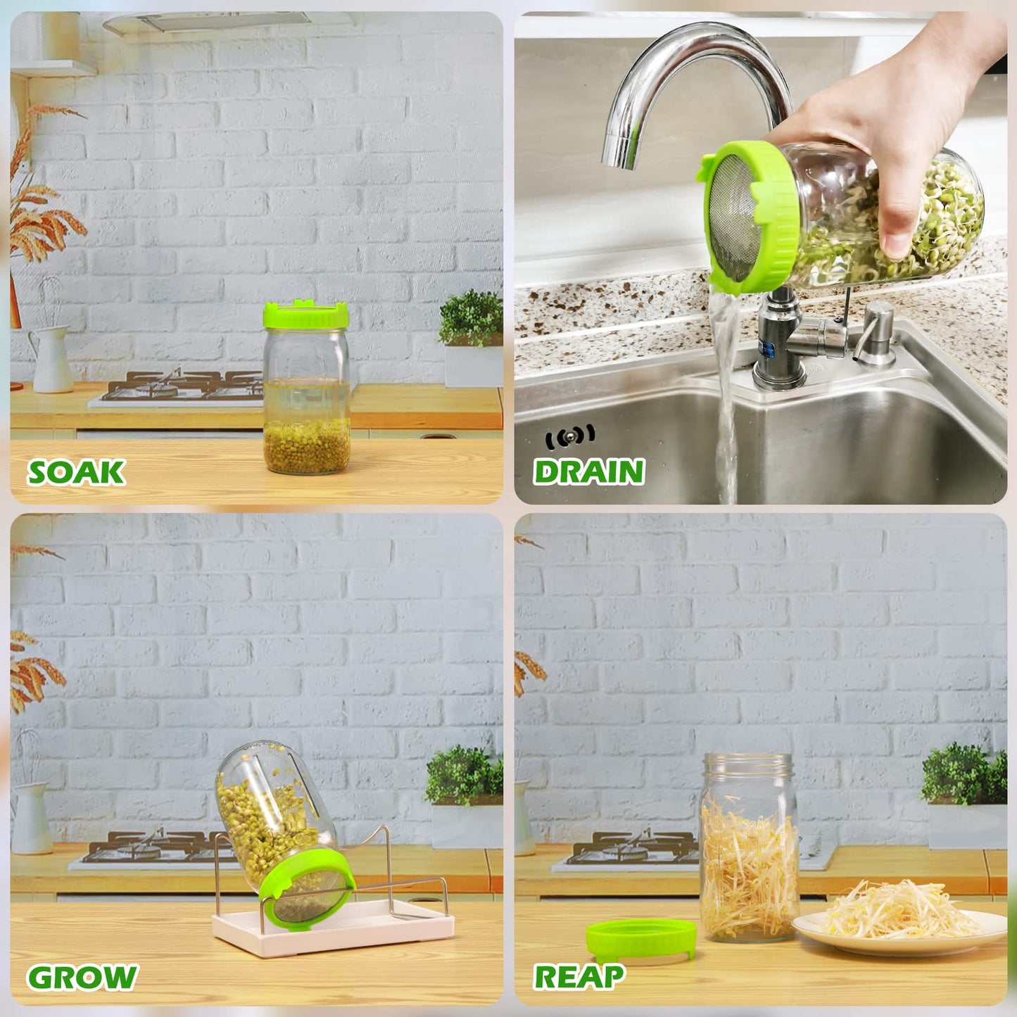 Kitmiido Seed Sprouting Kit, 2 Large Wide Mouth Mason Jars with Sprout Lids, Blackout Sleeves, Drain Tray, Stainless Steel Stand, Sprouts Growing Kit for Bean, Broccoli, Alfalfa (Yellow+Green)